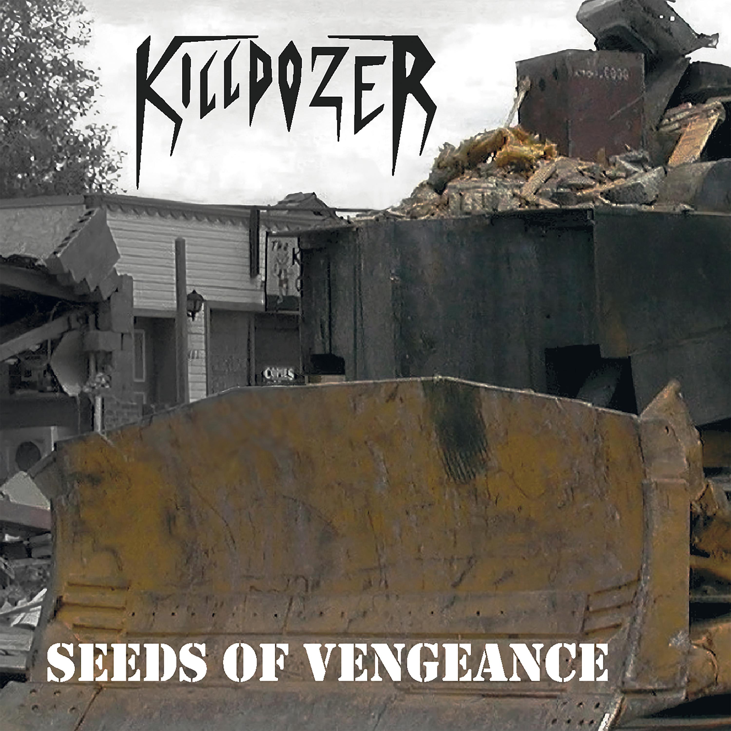 Постер альбома Seeds Of Vengeance