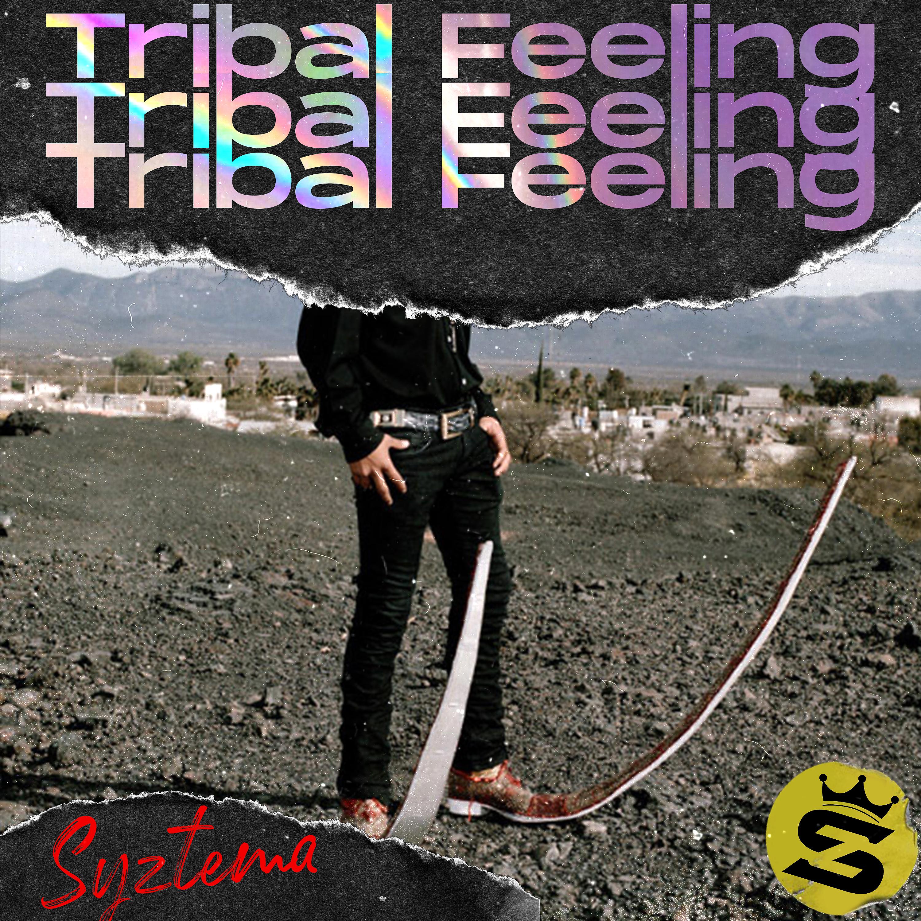 Постер альбома Tribal Feeling