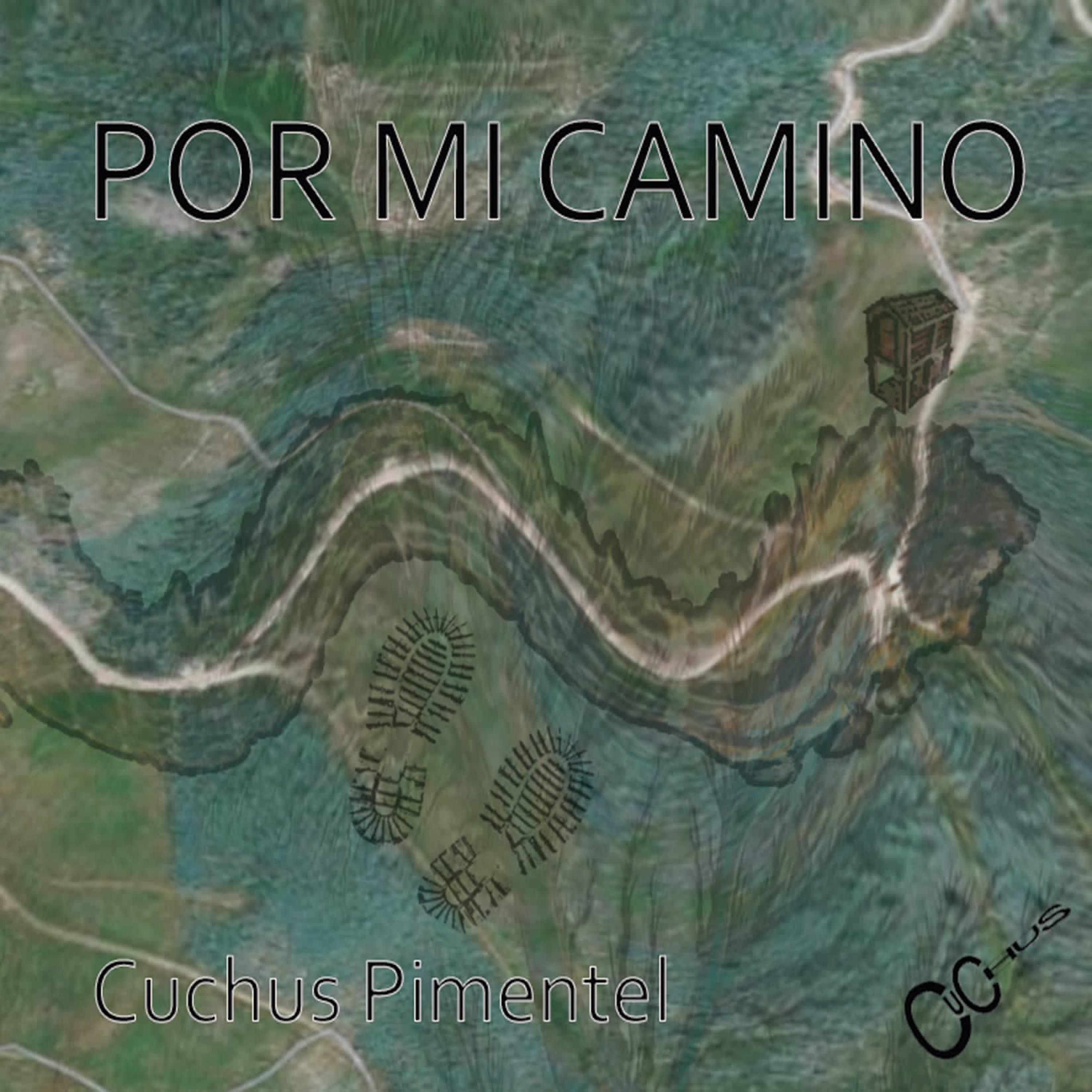 Постер альбома Por Mi Camino