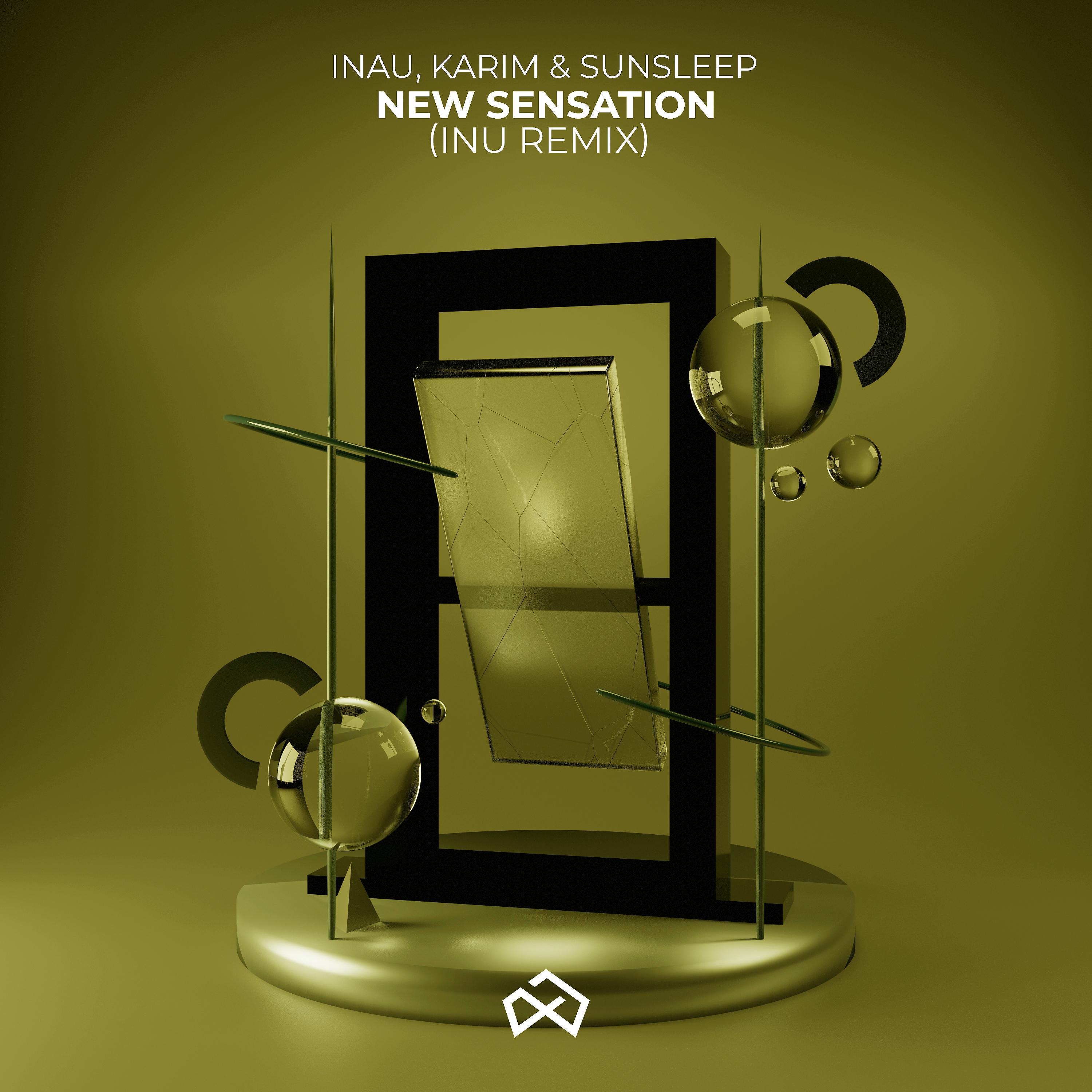 Постер альбома New Sensation (Inu Remix)
