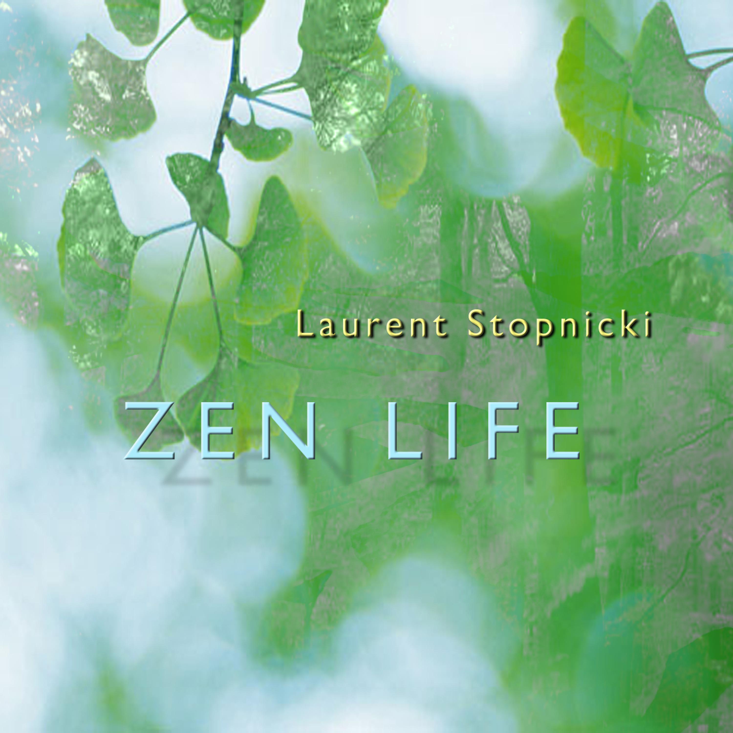 Постер альбома Zen Life