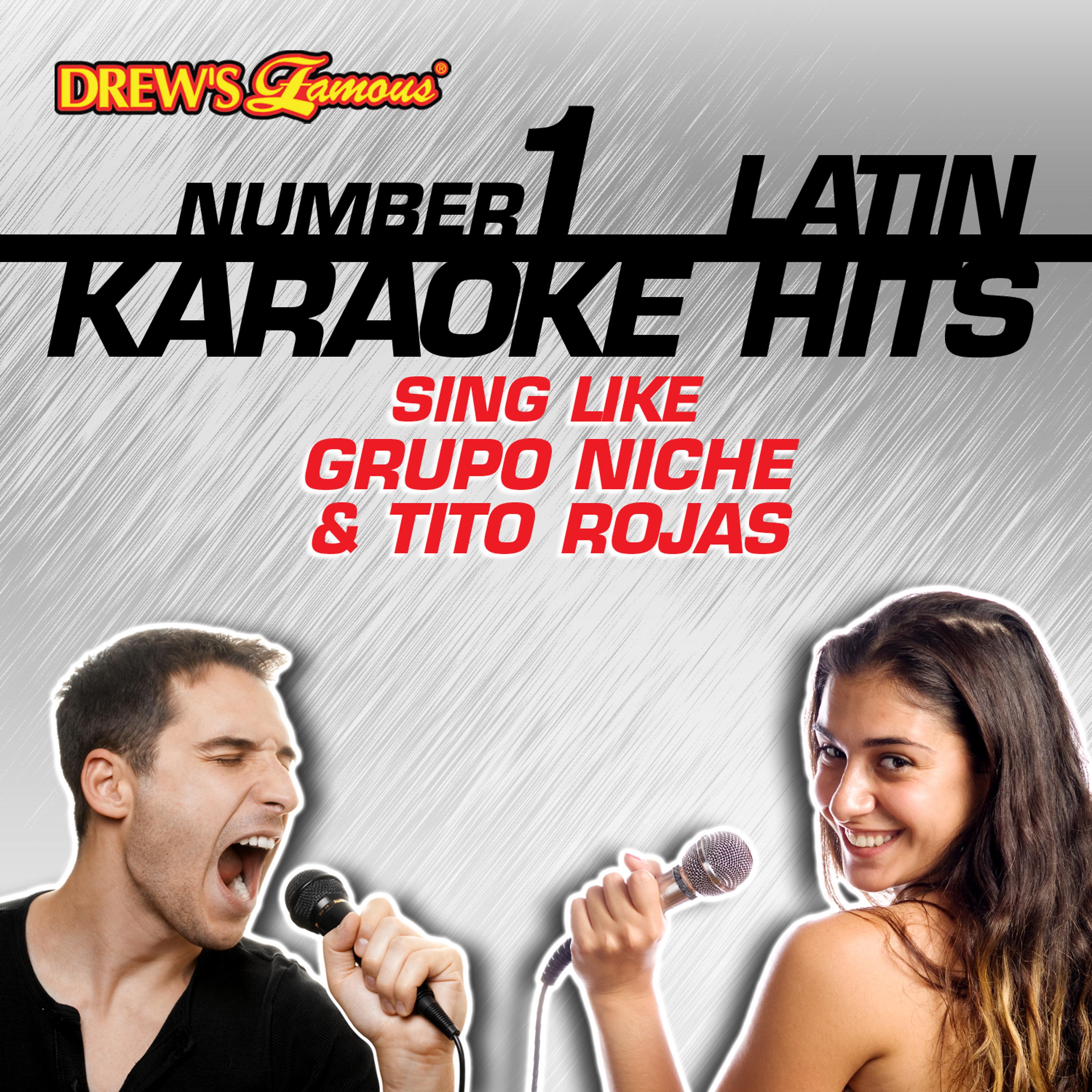 Постер альбома Drew's Famous #1 Latin Karaoke Hits: Sing Like Grupo Niche & Tito Rojas