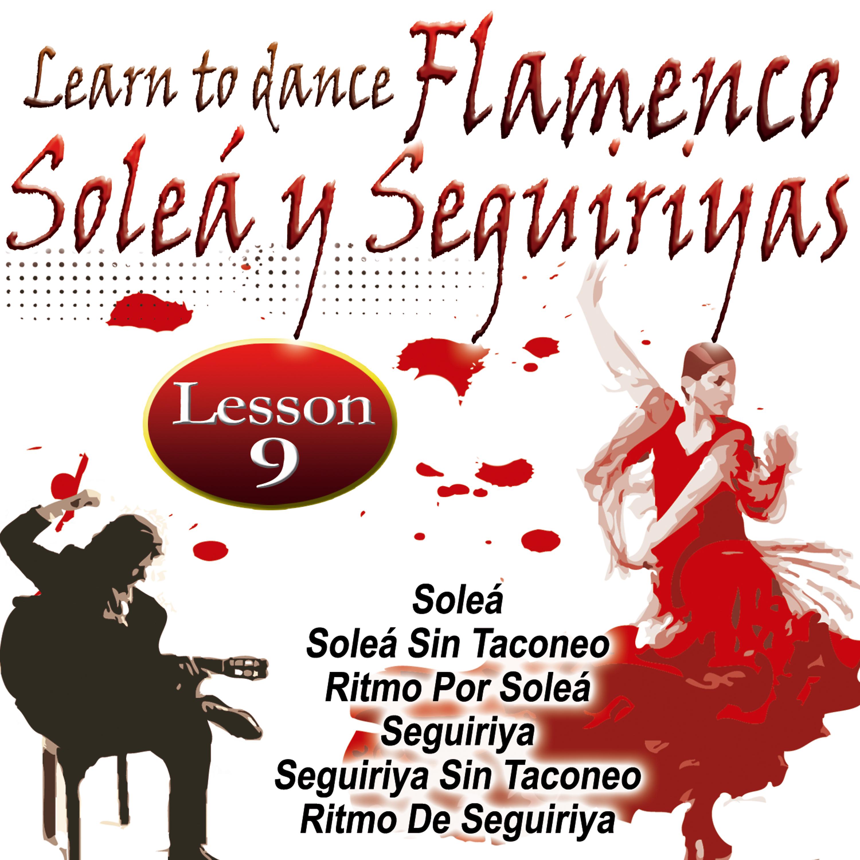 Постер альбома Learn To Dance Flamenco-Soleá Y Seguiriya