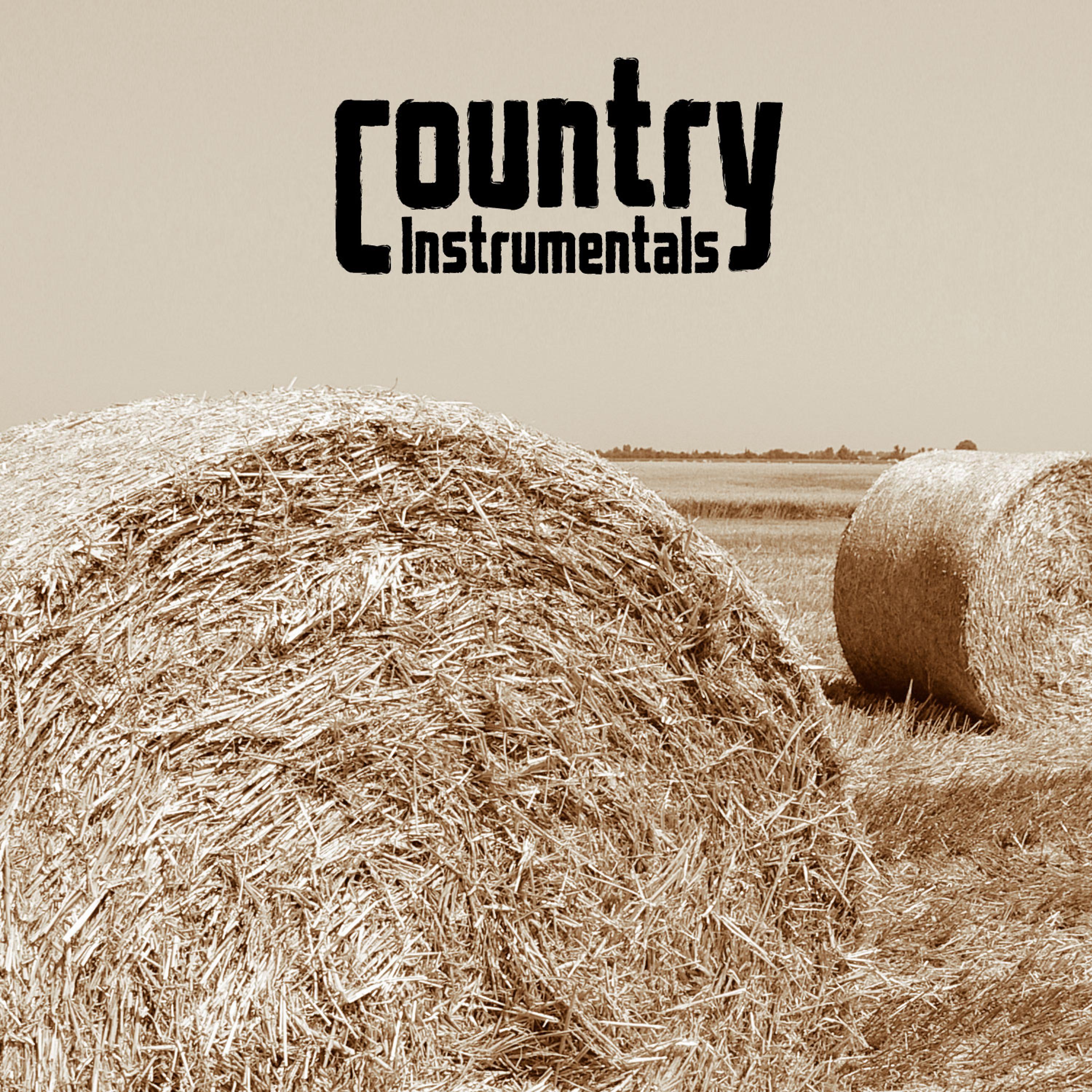 Постер альбома Country Instrumental Hits