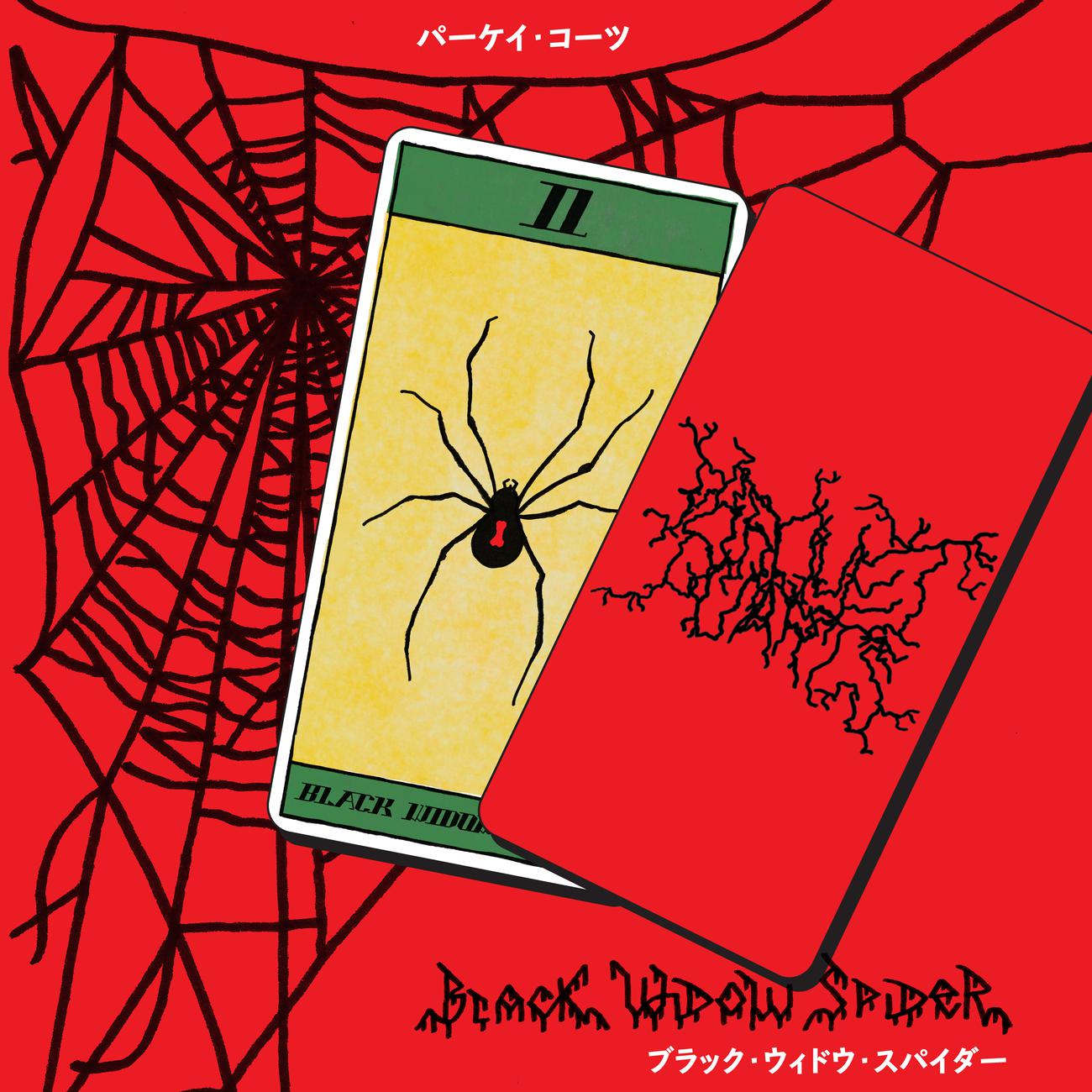 Постер альбома Black Widow Spider
