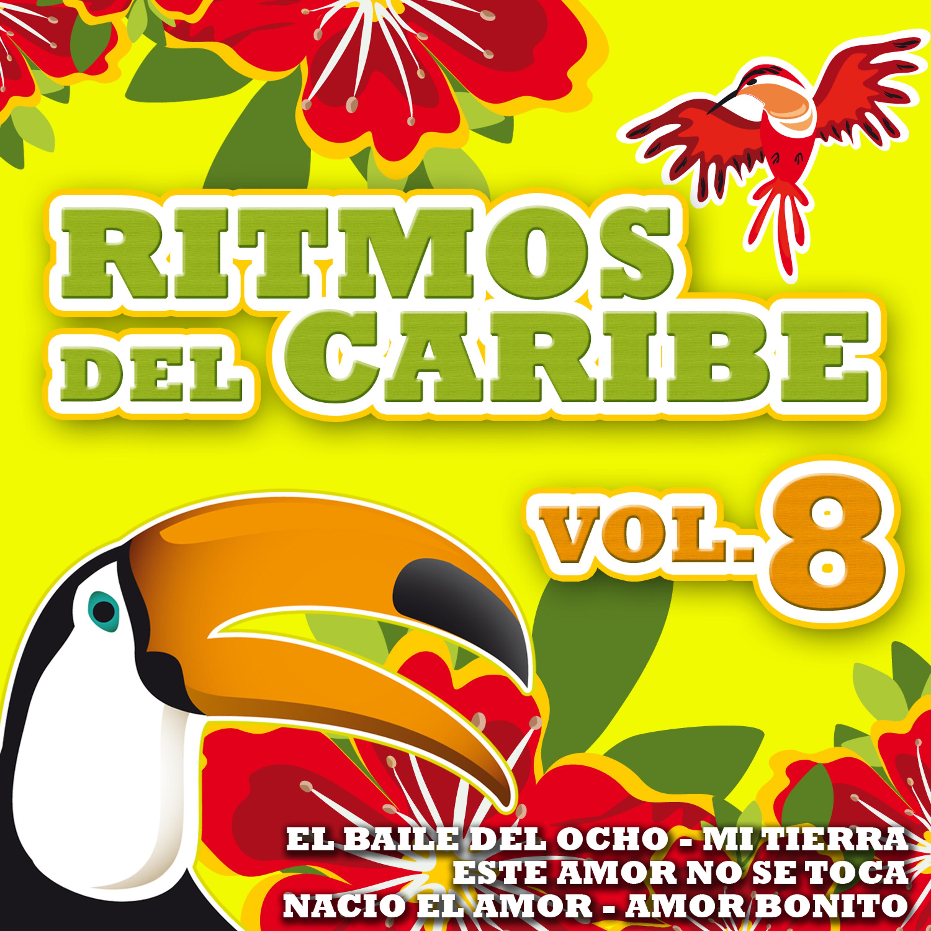 Постер альбома Ritmos del Caribe  Vol.8