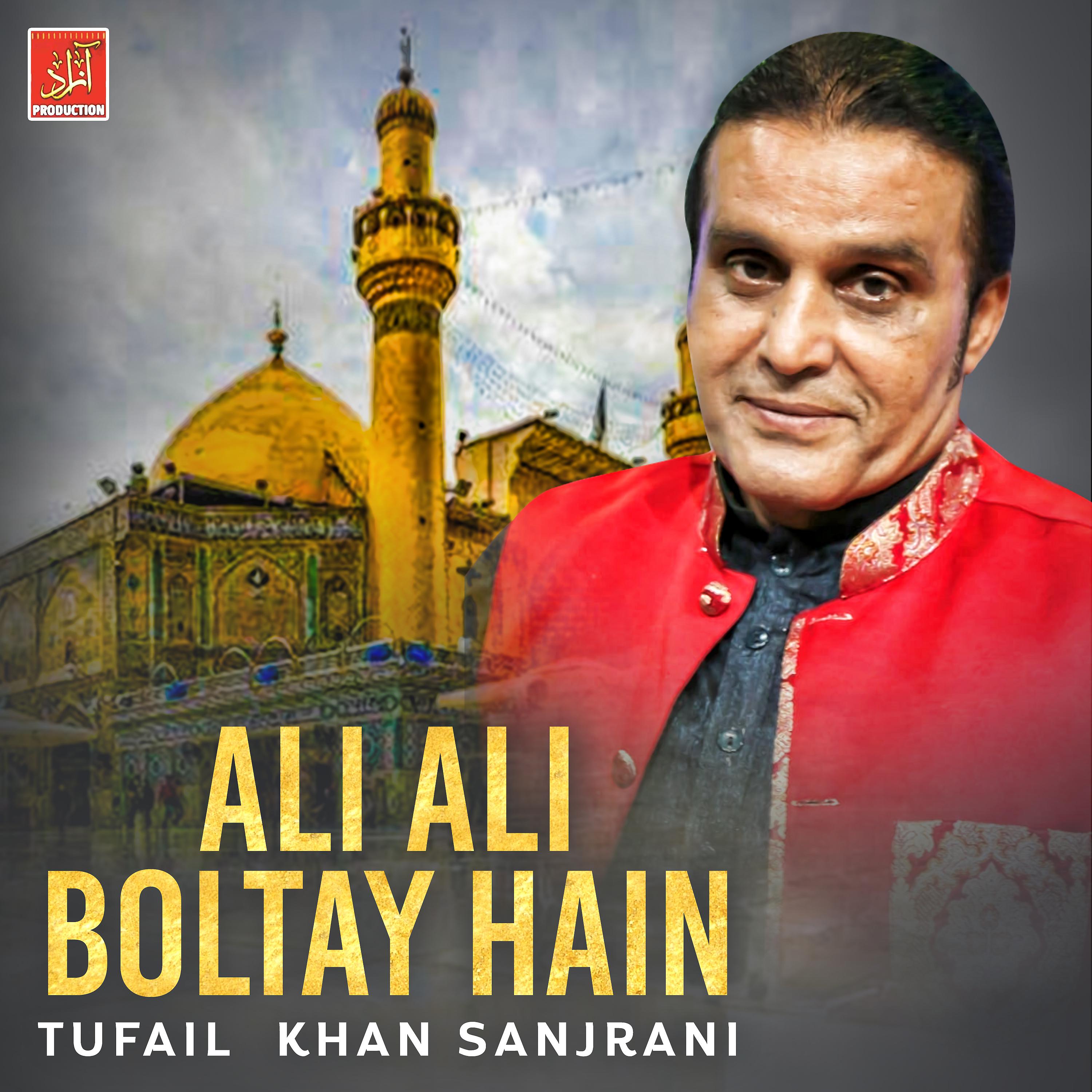 Постер альбома Ali Ali Boltay Hain