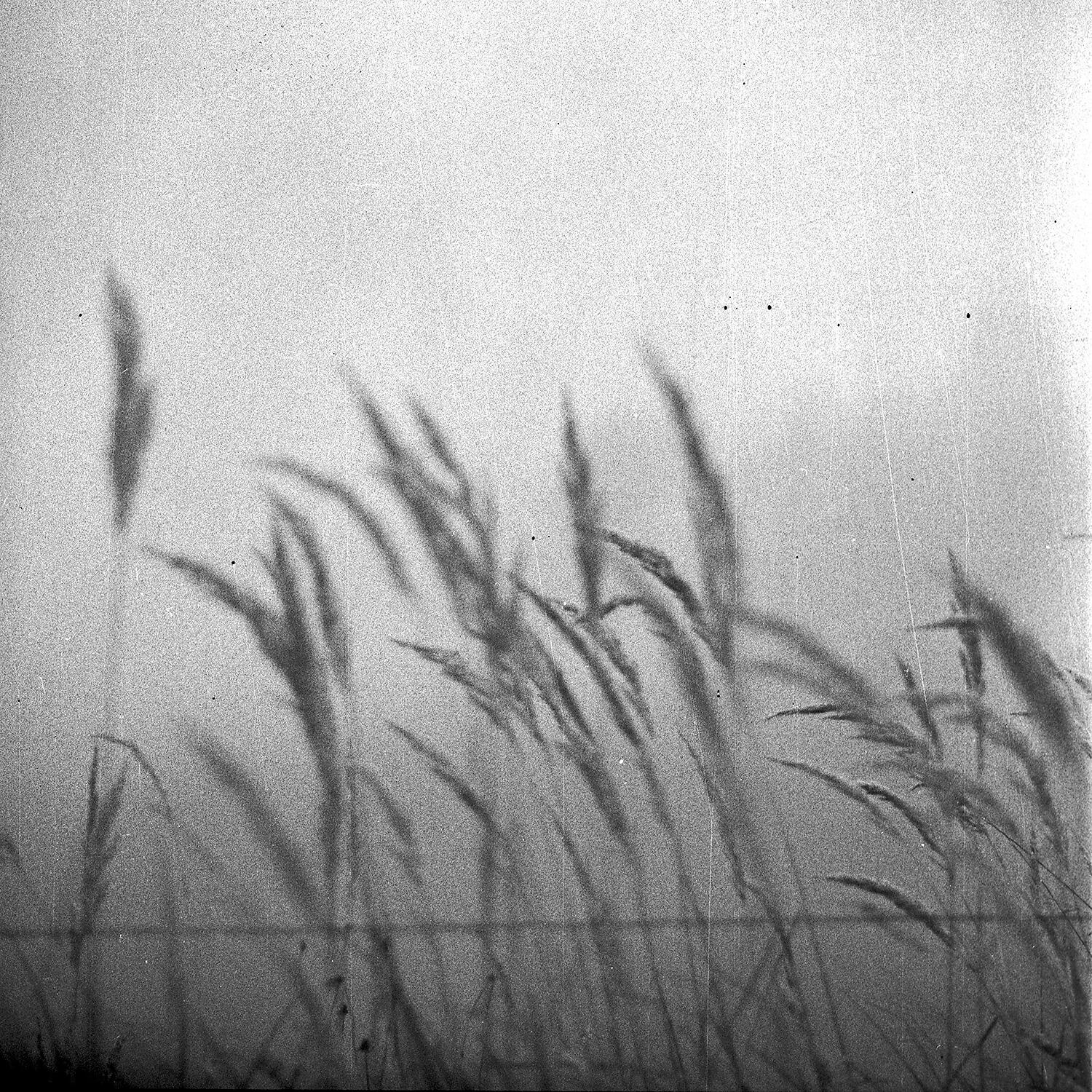 Recondite - Stems (Into The Dew Mix)