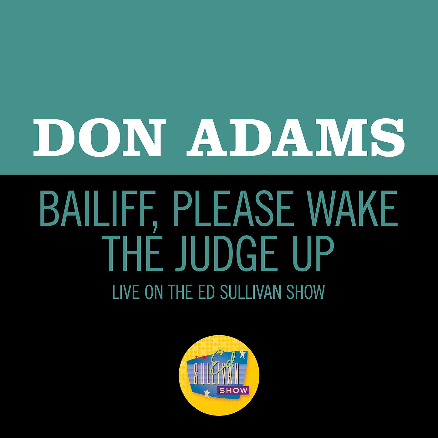 Постер альбома Bailiff, Please Wake The Judge Up