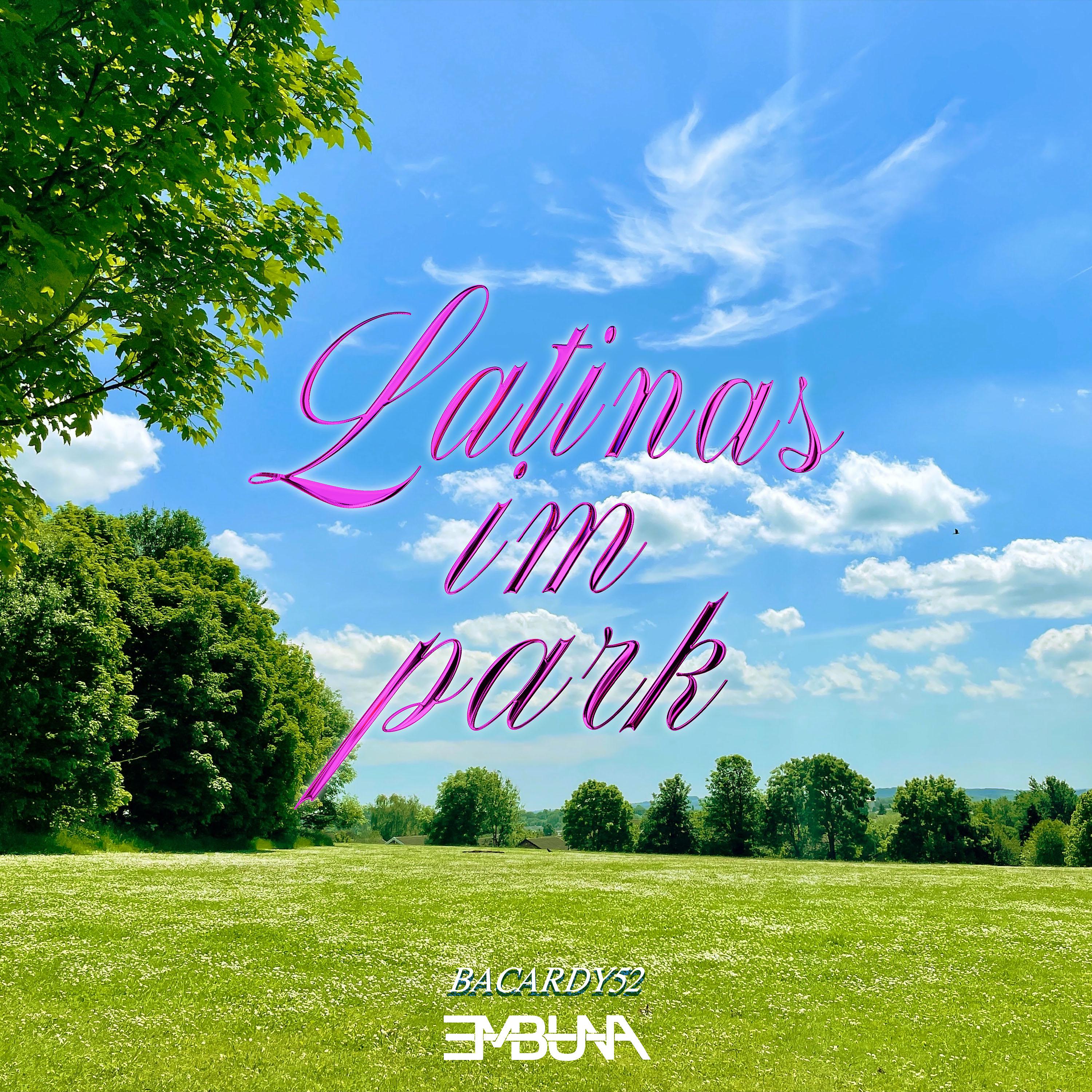 Постер альбома Latinas im Park