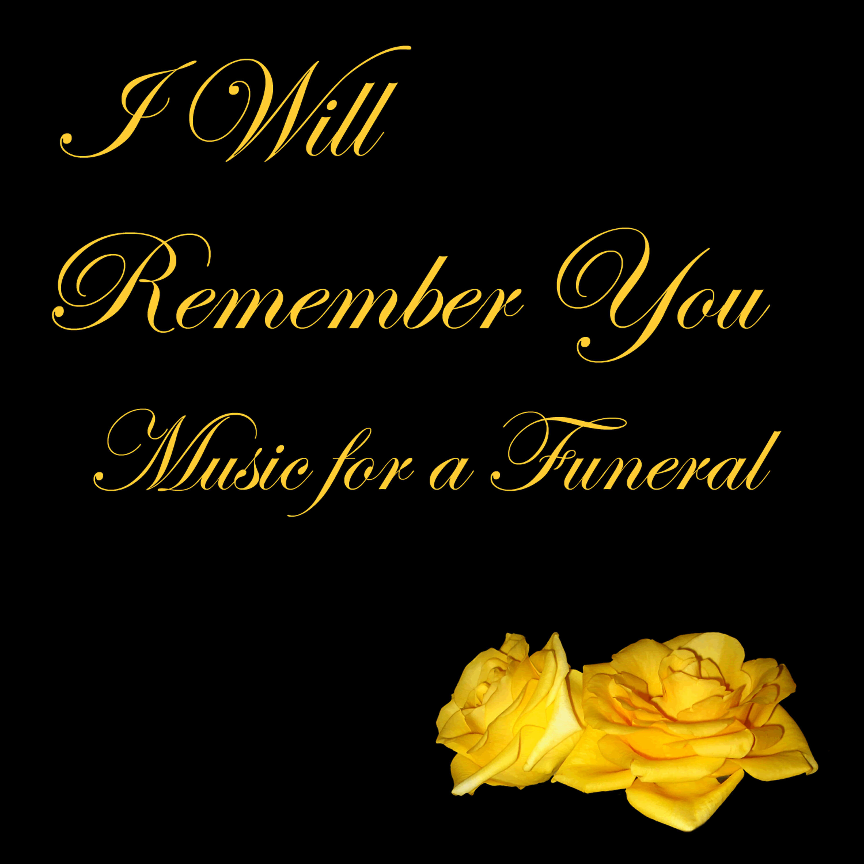 American Music Experts - Reminiscent Joy