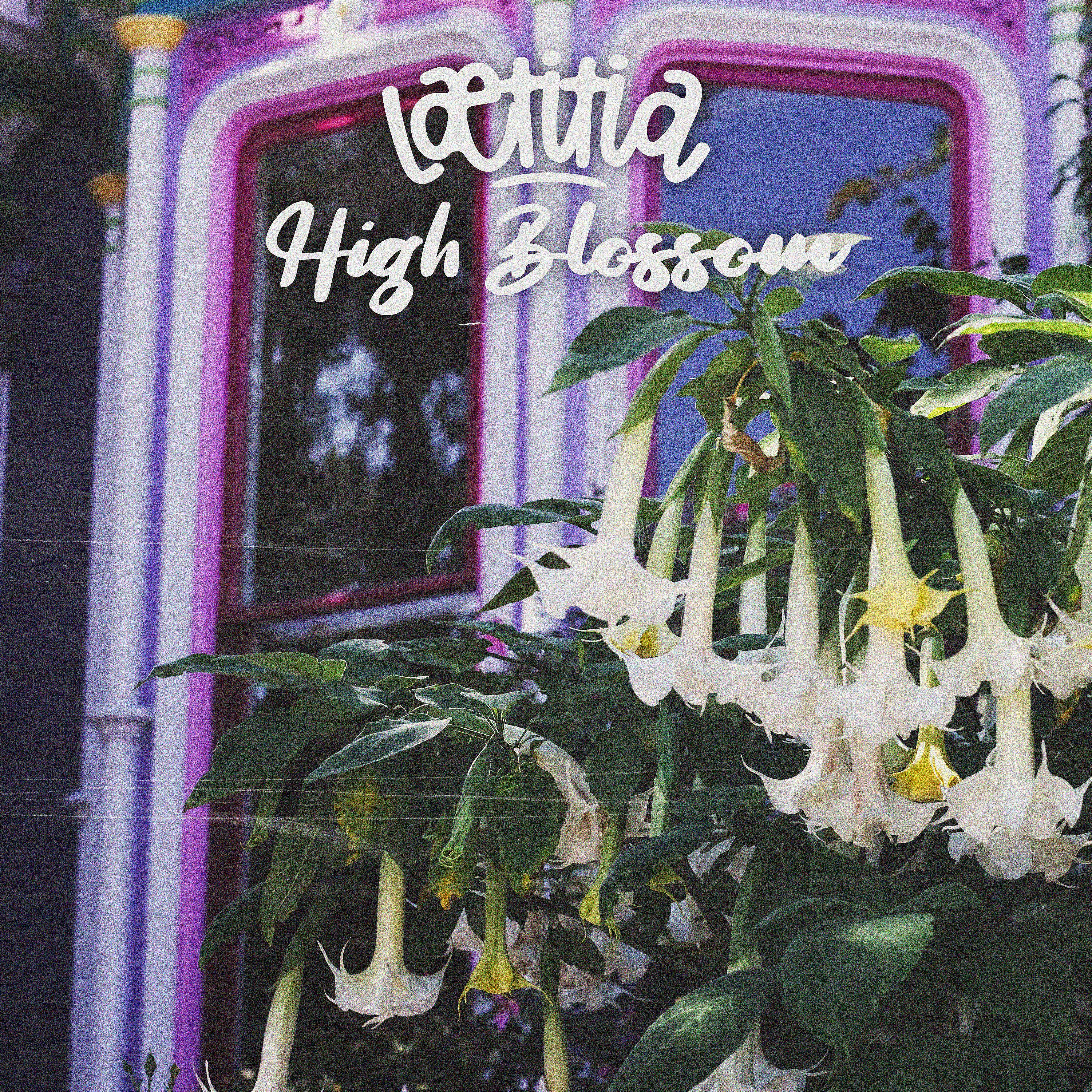 Постер альбома High Blossom