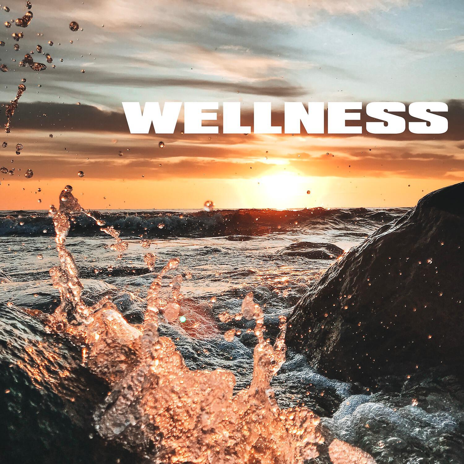 Wellness - Thunder Calls
