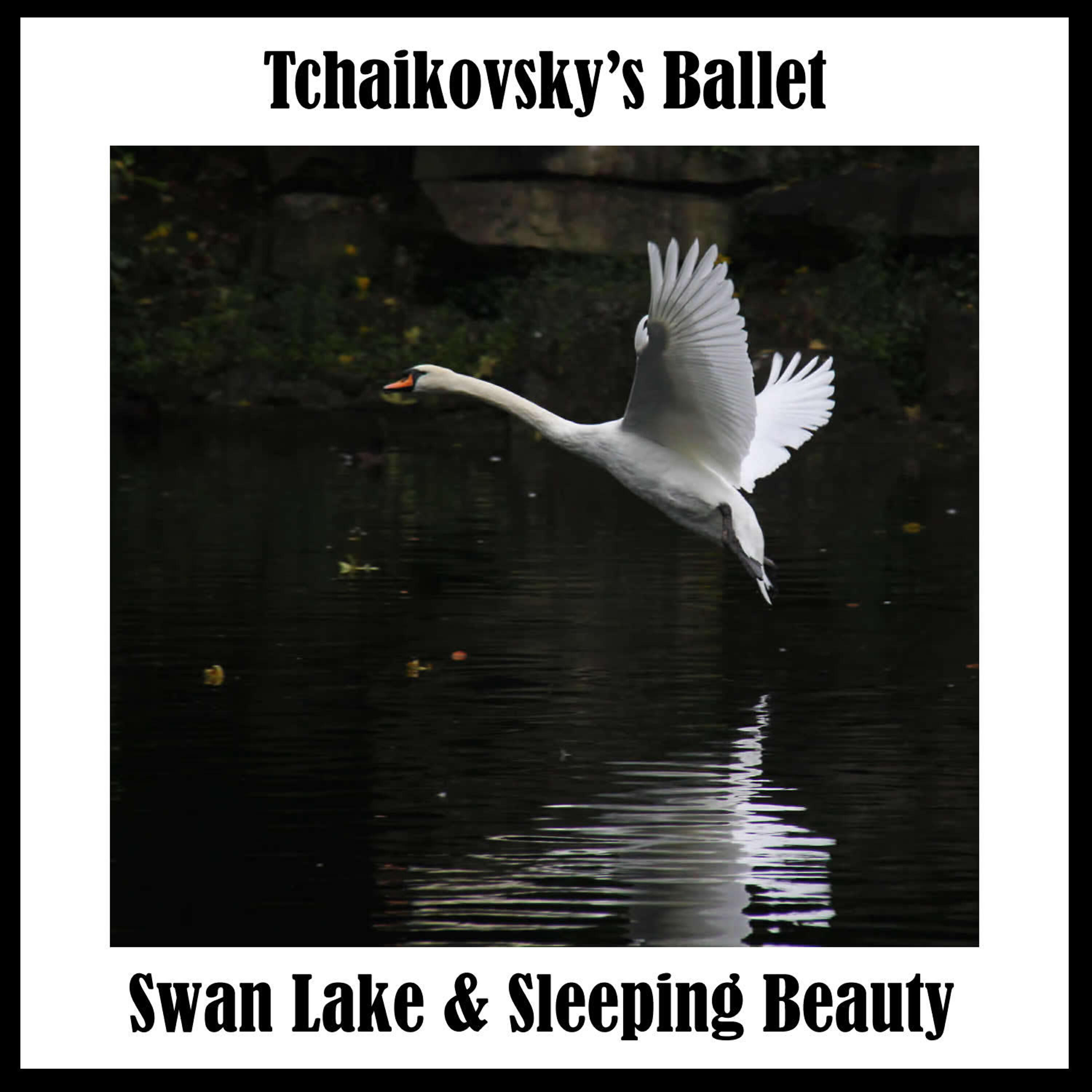 Victor Fedotov - The Sleeping Beauty. Prologue. Finale