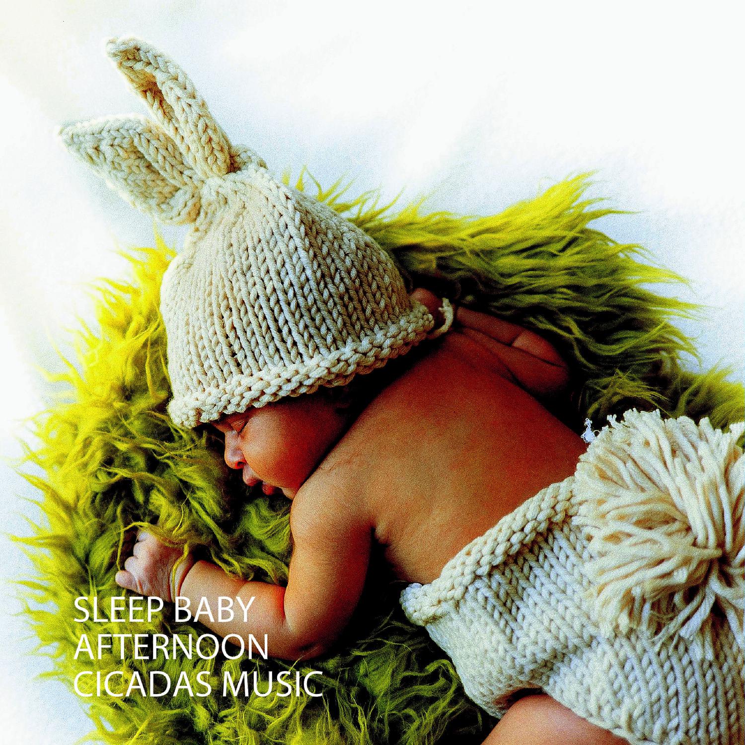 Постер альбома Sleep Baby: Afternoon Cicadas Music