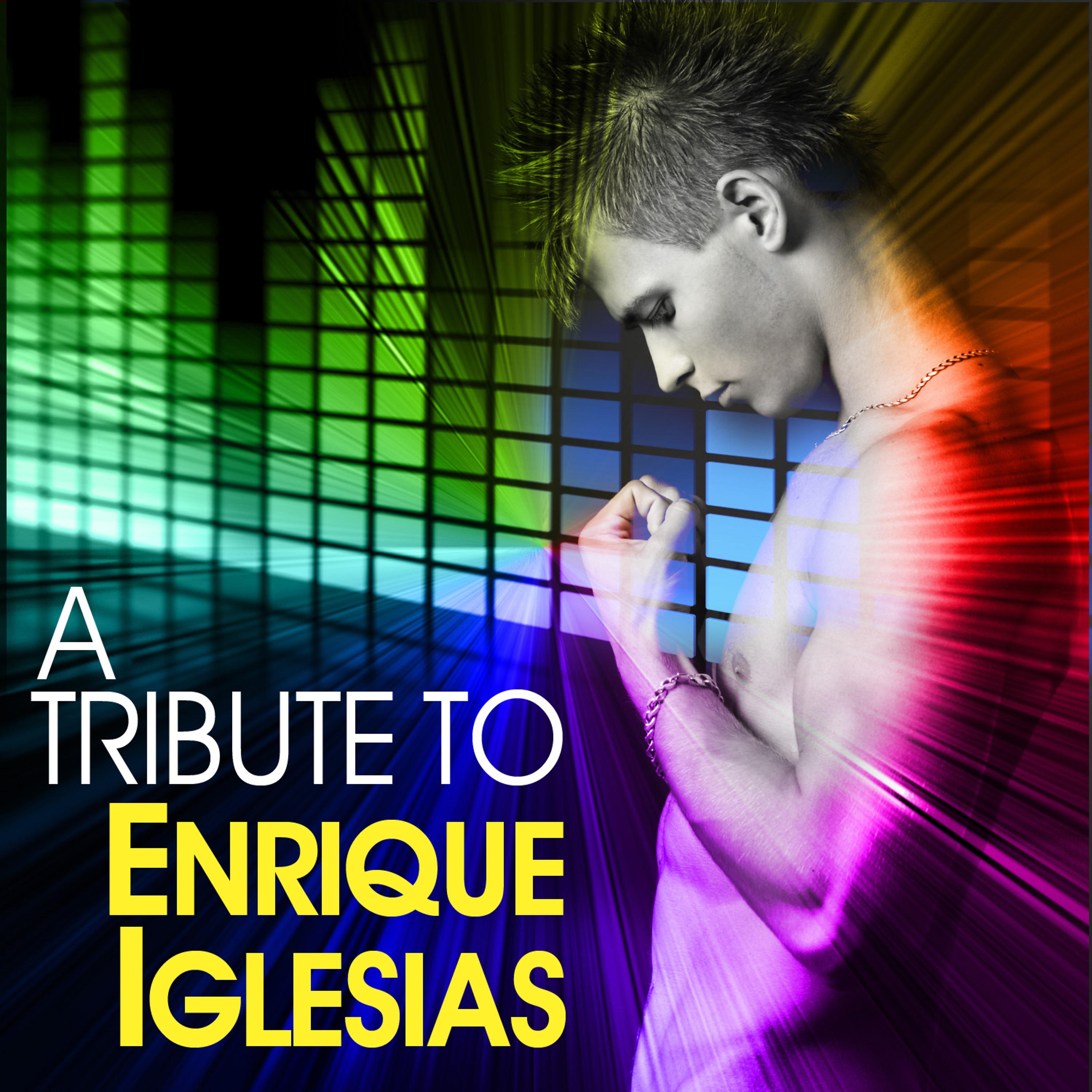 Постер альбома A Tribute To Enrique Iglesias