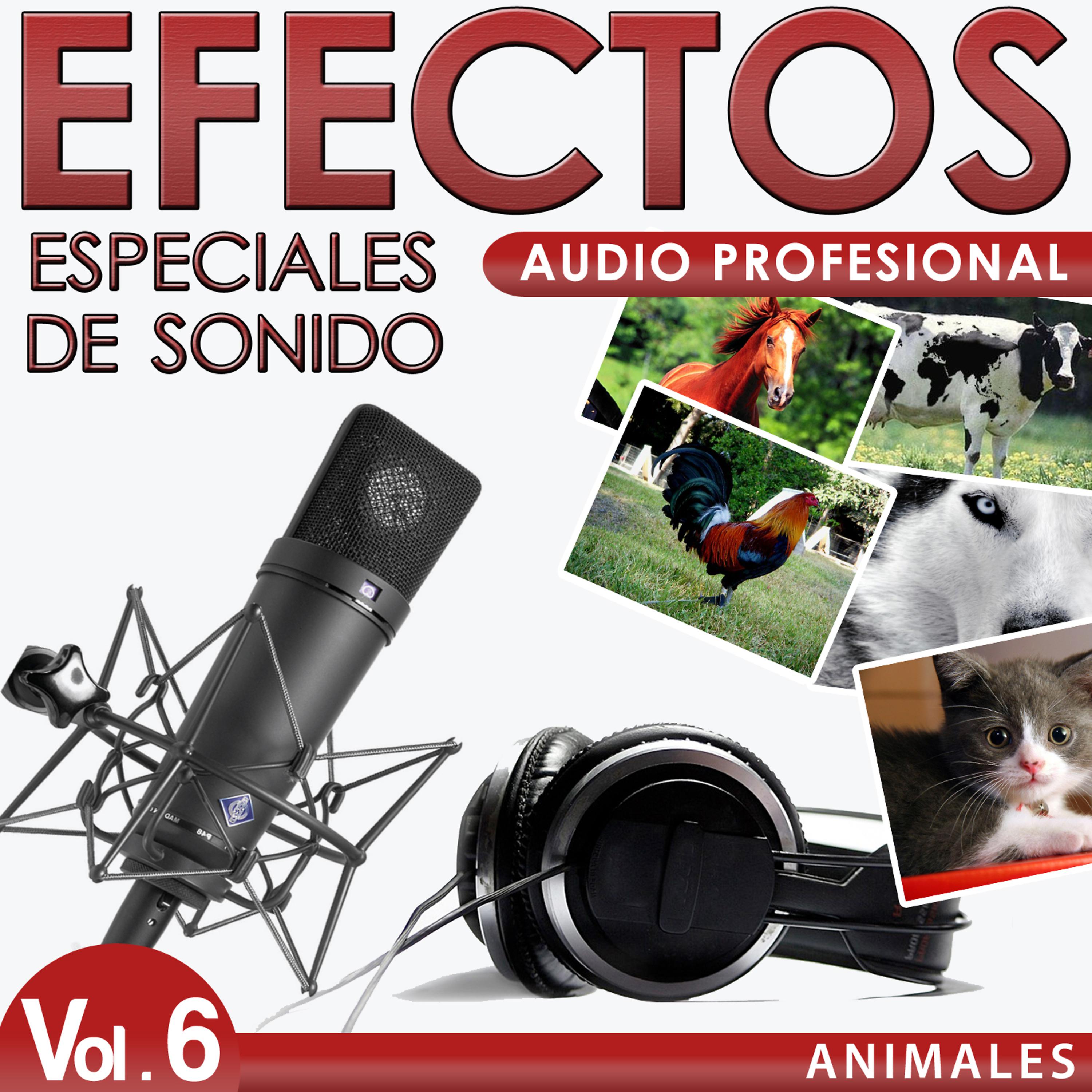 Постер альбома Animales. Efectos Especiales De Sonido. Audio Profesional Vol. 6