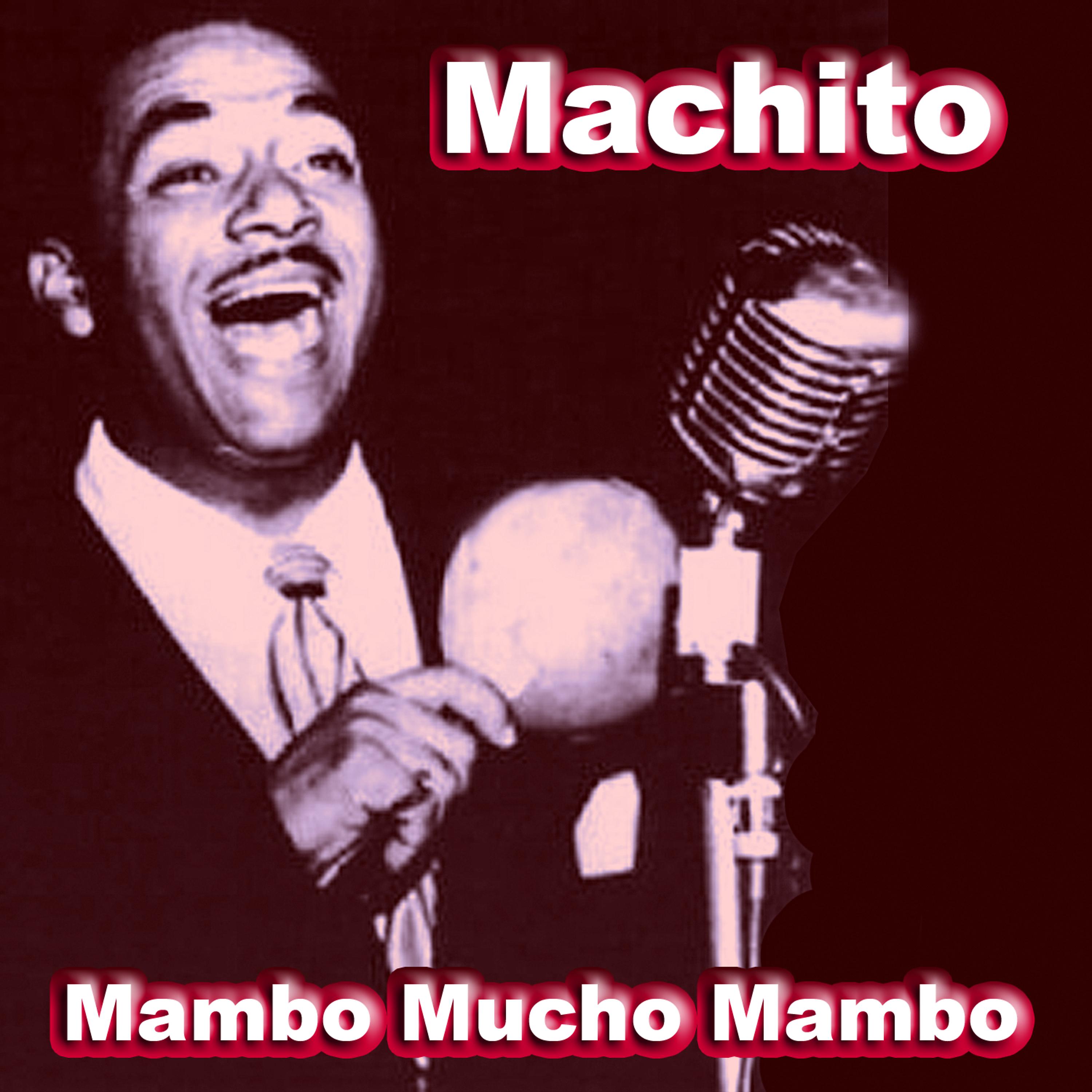 Постер альбома Mambo Mucho Mambo