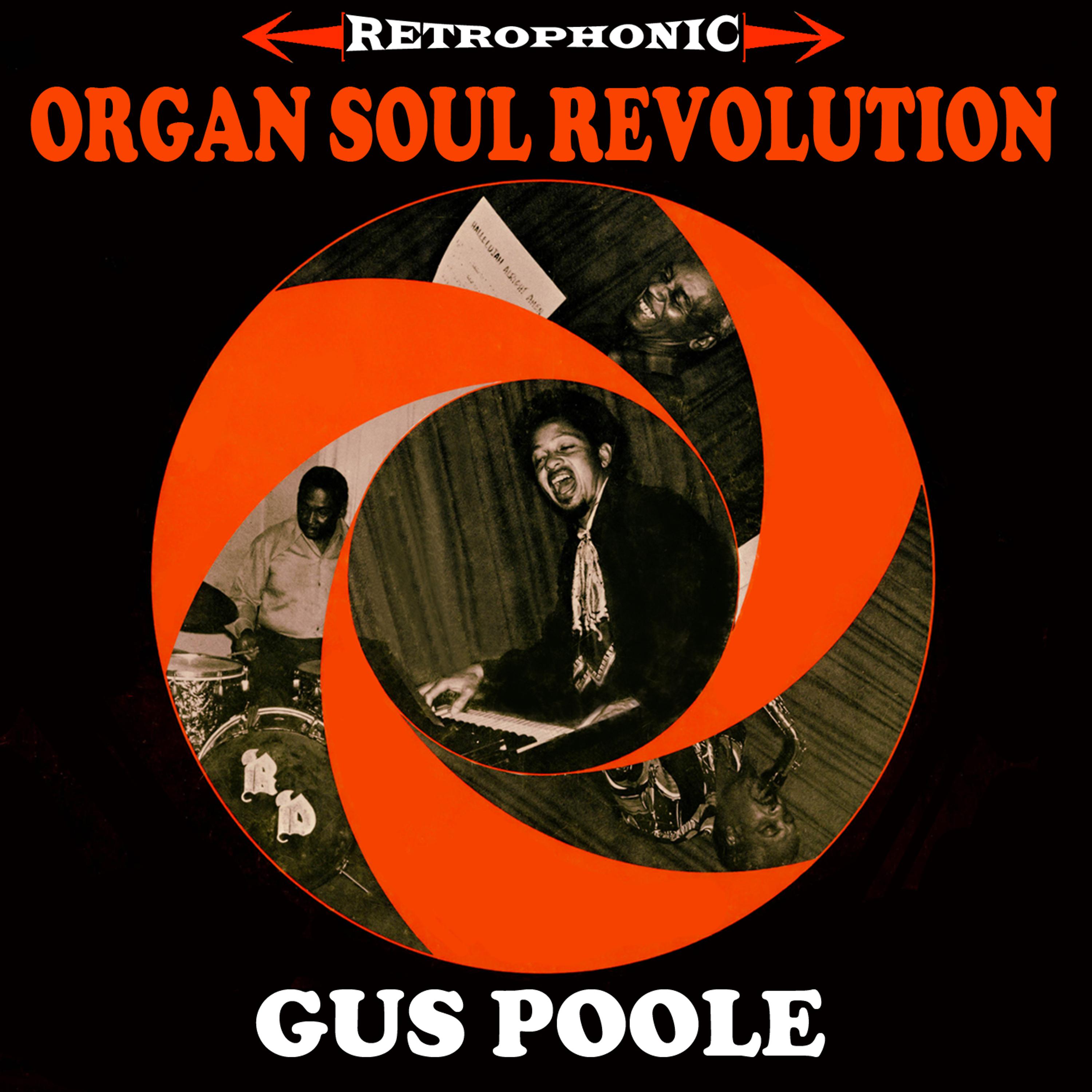 Постер альбома Organ Soul Revolution