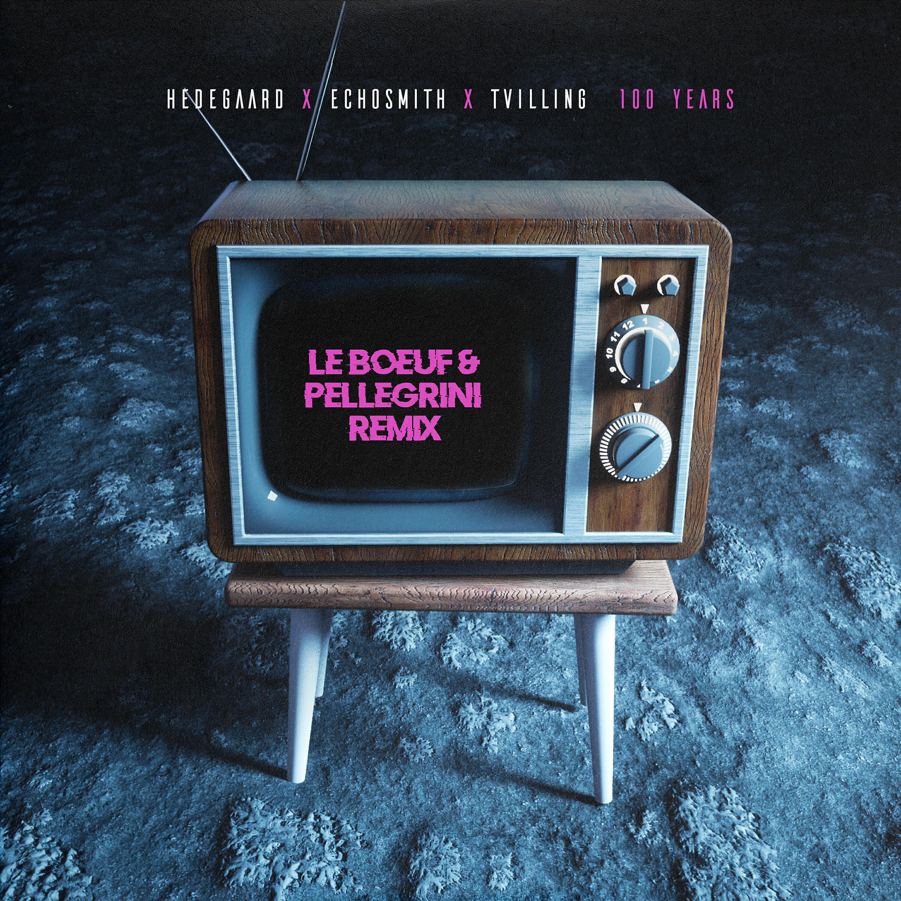 HEDEGAARD - 100 Years (Le Boeuf & Pellegrini Extended Remix)