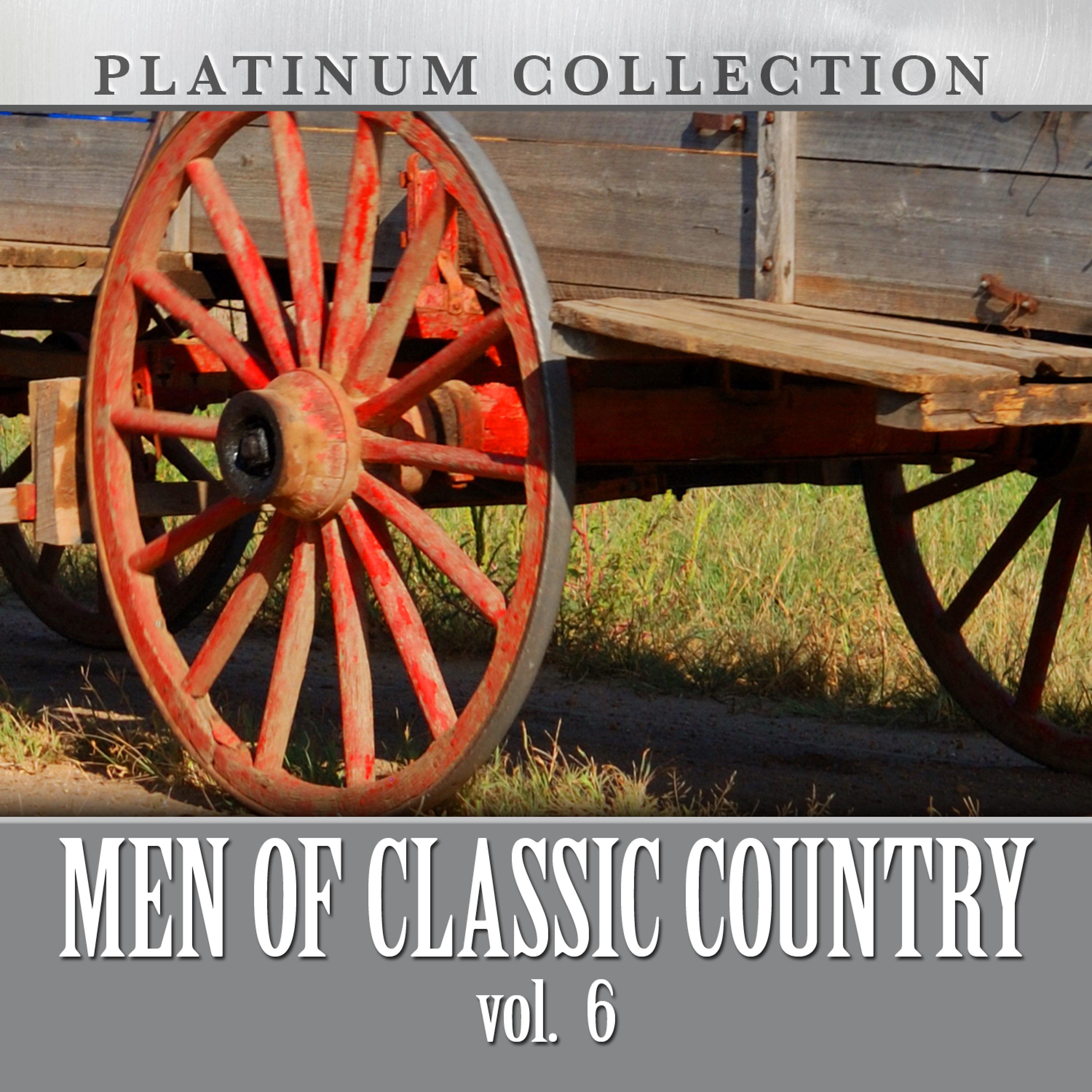 Постер альбома Men of Classic Country, Vol. 6