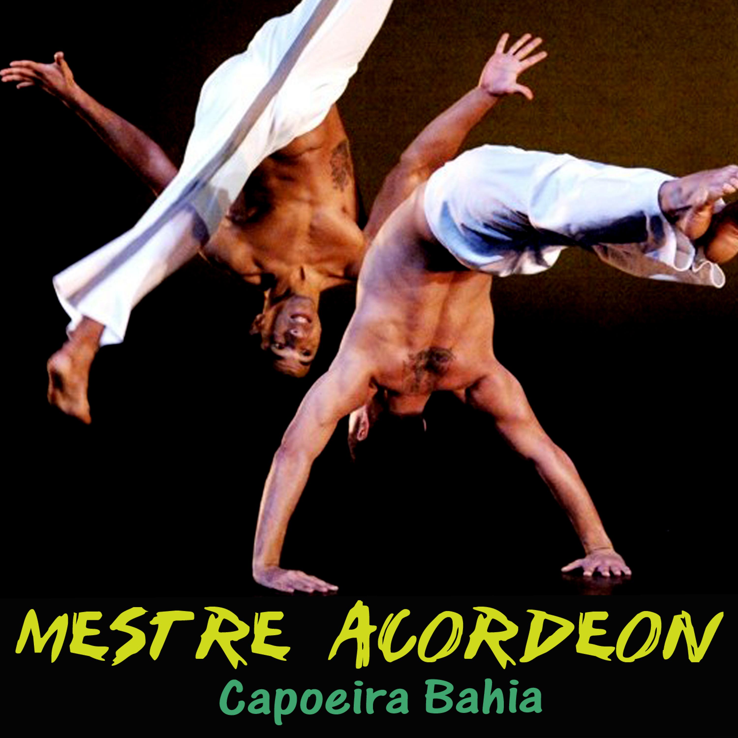 Постер альбома Capoeira Bahia