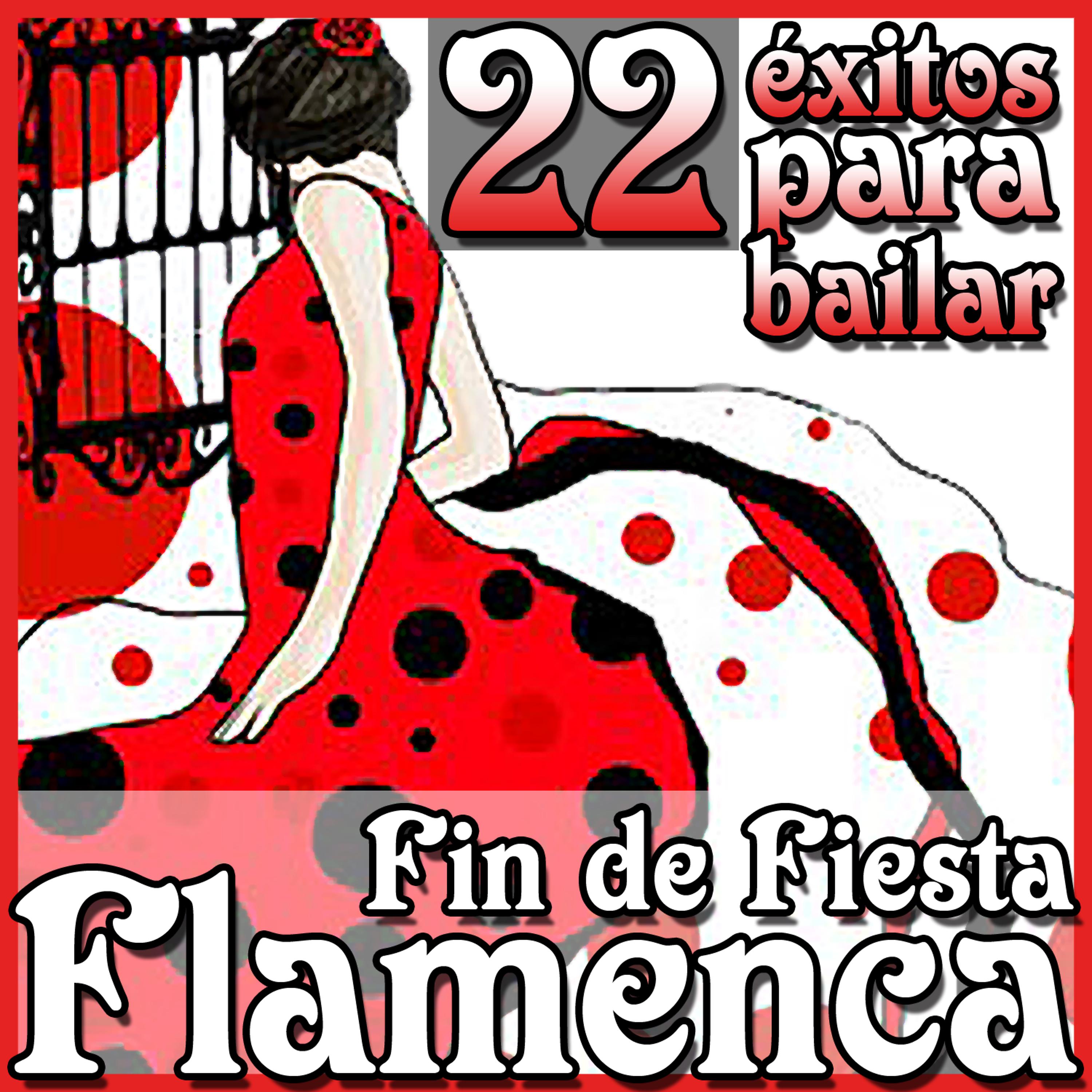 Постер альбома 22 Éxitos Para Bailar. Fin de Fiesta Flamenca