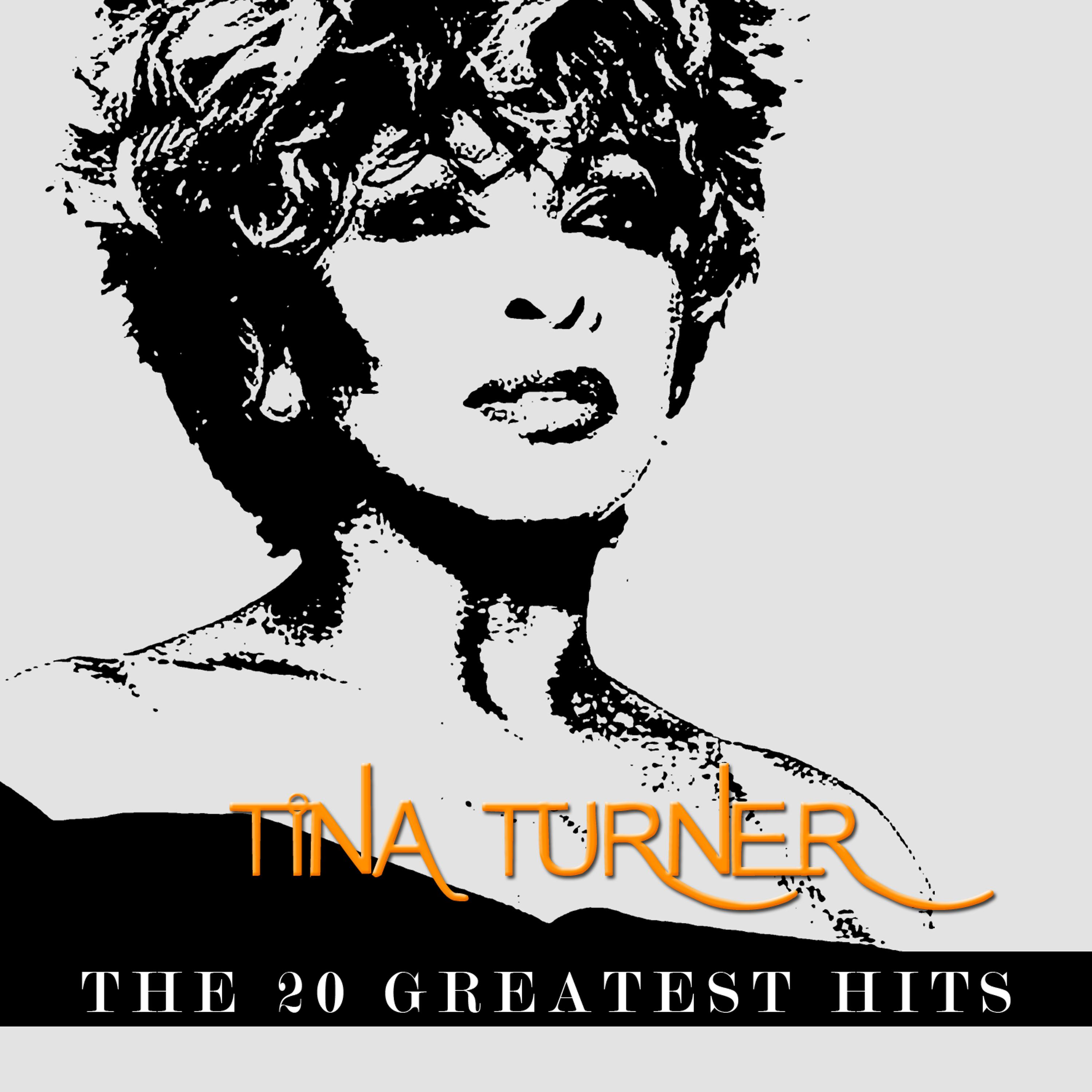Постер альбома Tina Turner - The 20 Greatest Hits