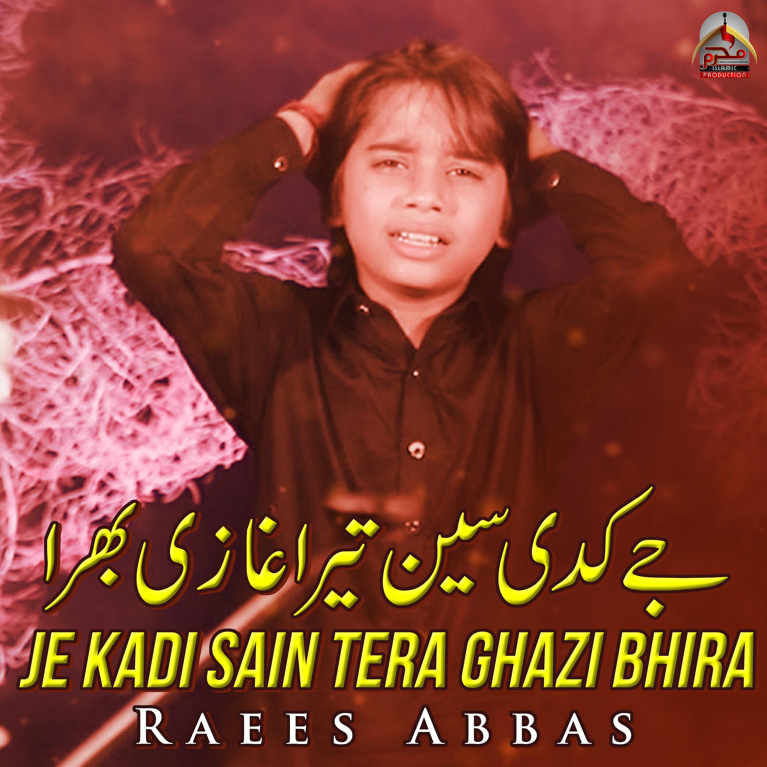 Постер альбома Je Kadi Sain Tera Ghazi Bhira - Single