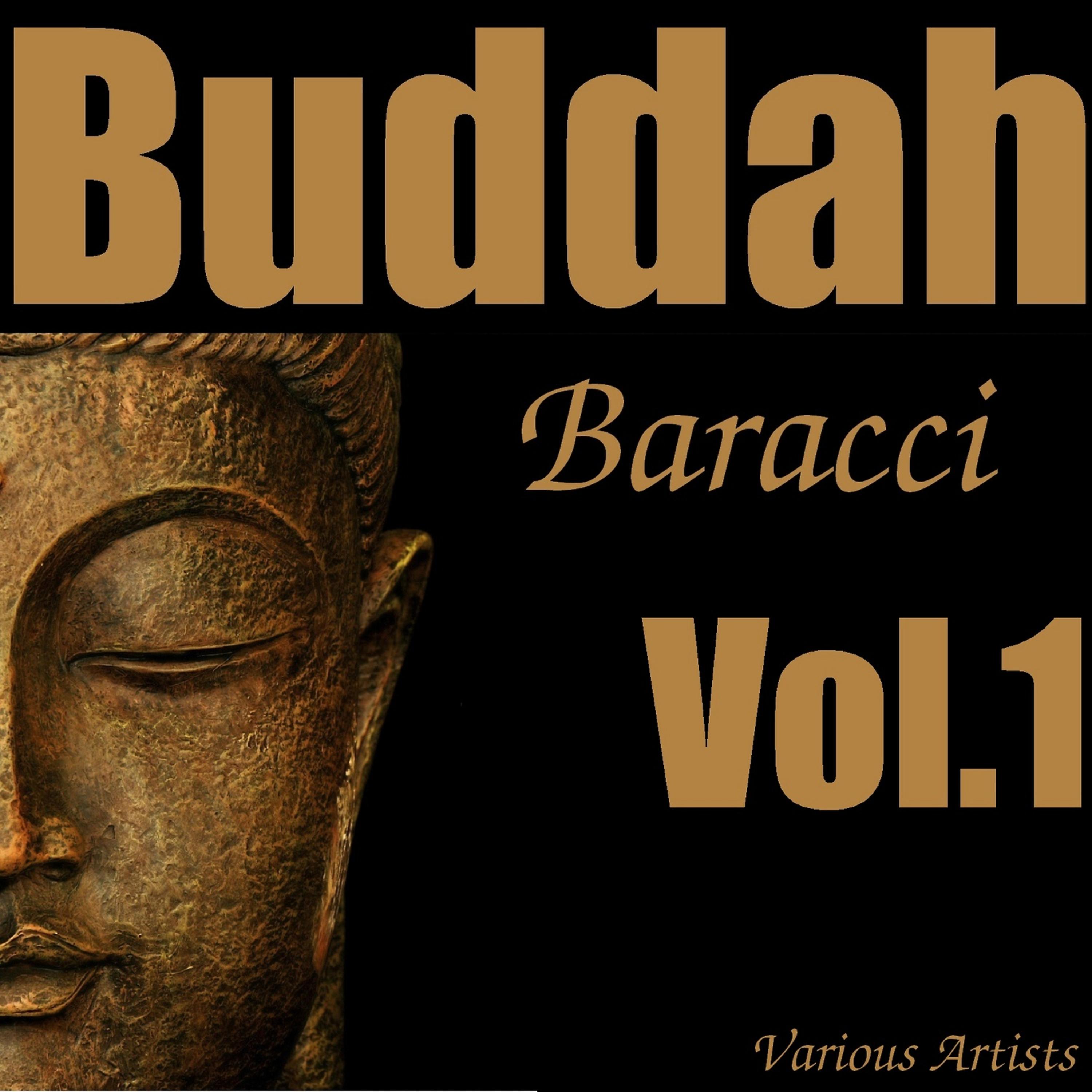 Постер альбома Buddah Baracci