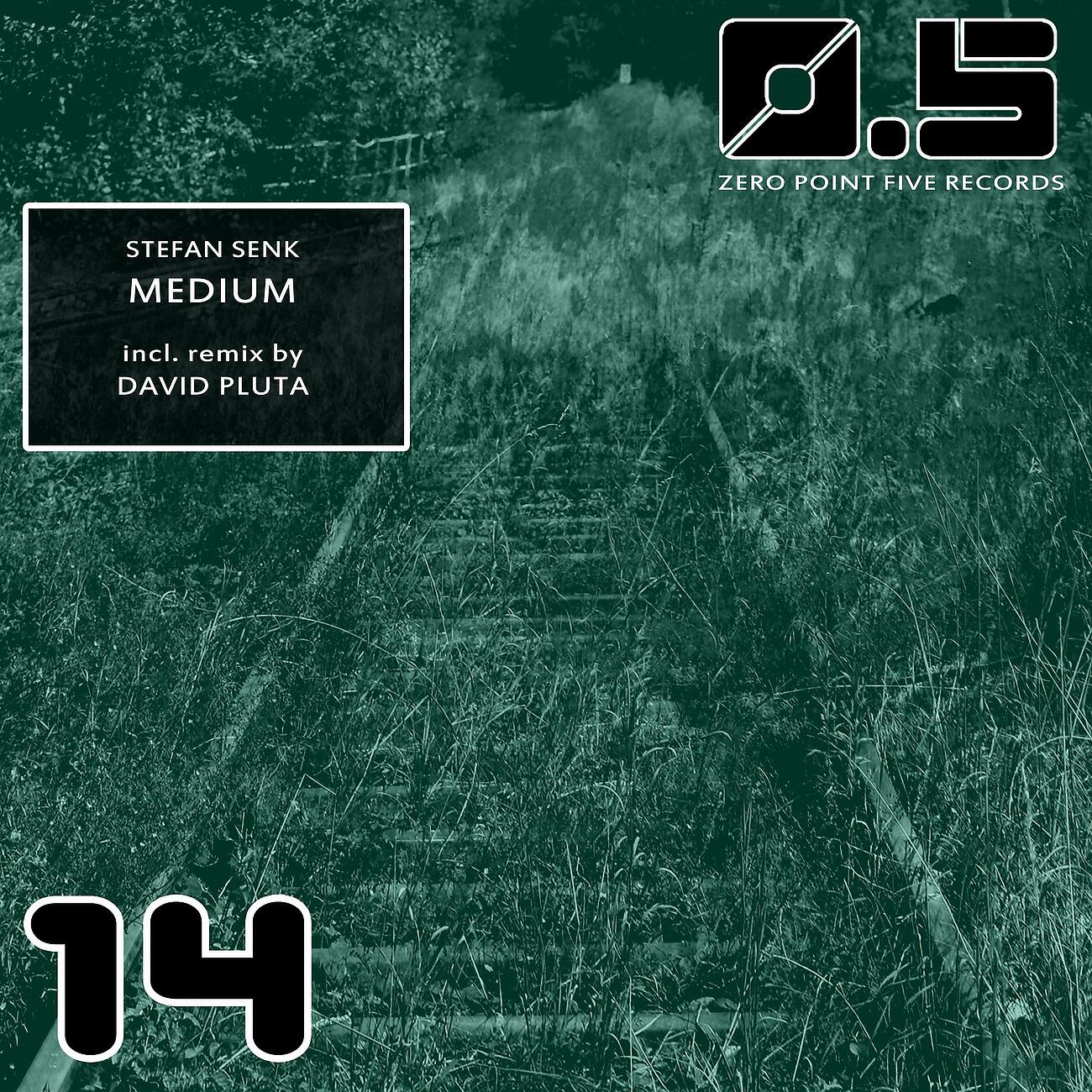 Stefan Senk - Medium (David Pluta Remix)