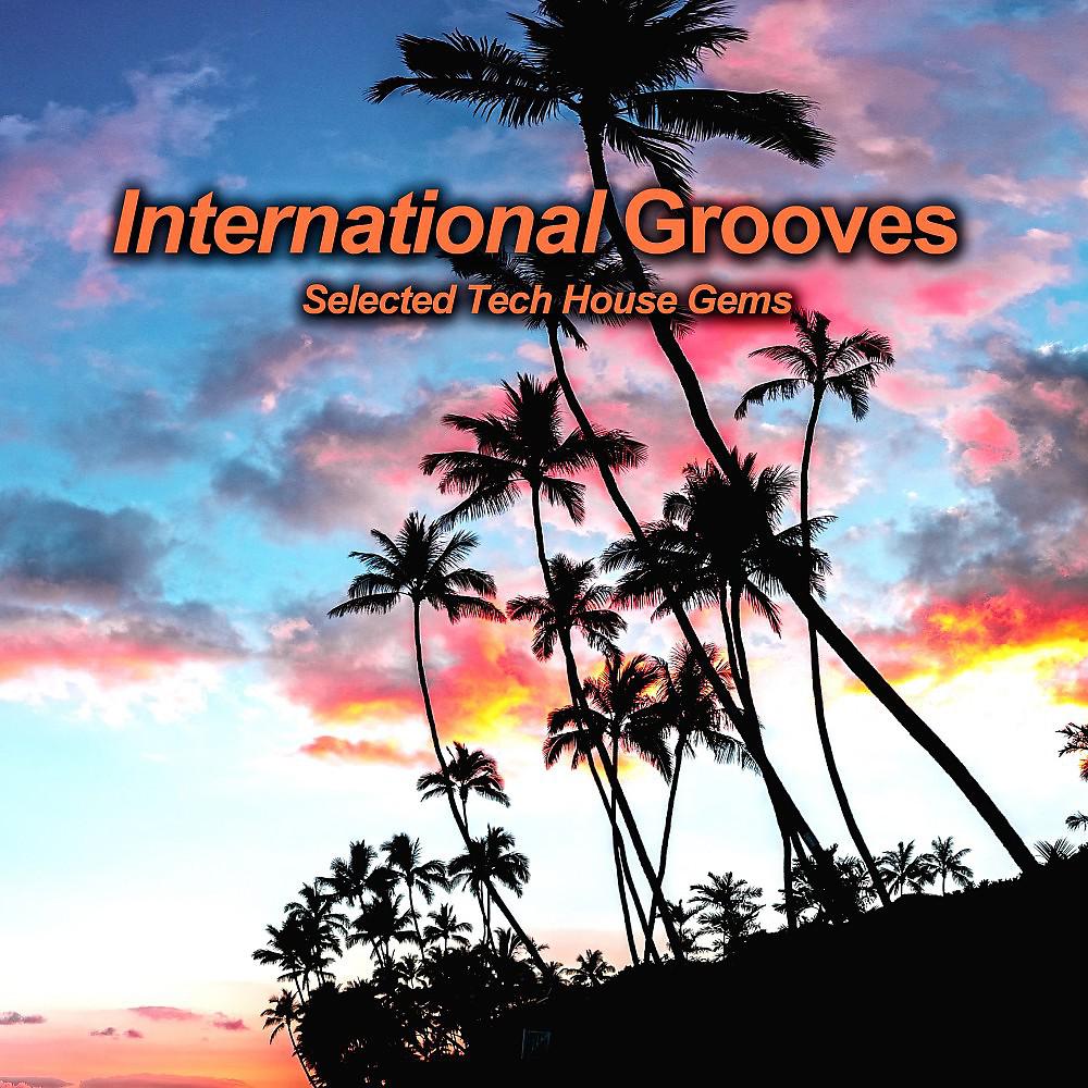 Постер альбома International Grooves (Selected Tech House Gems)