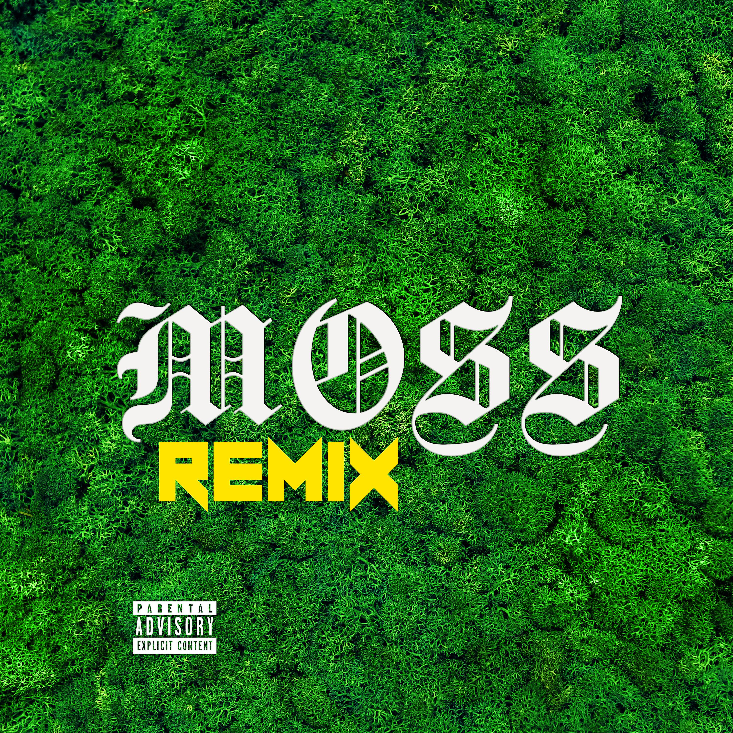 Постер альбома Moss (Remix)
