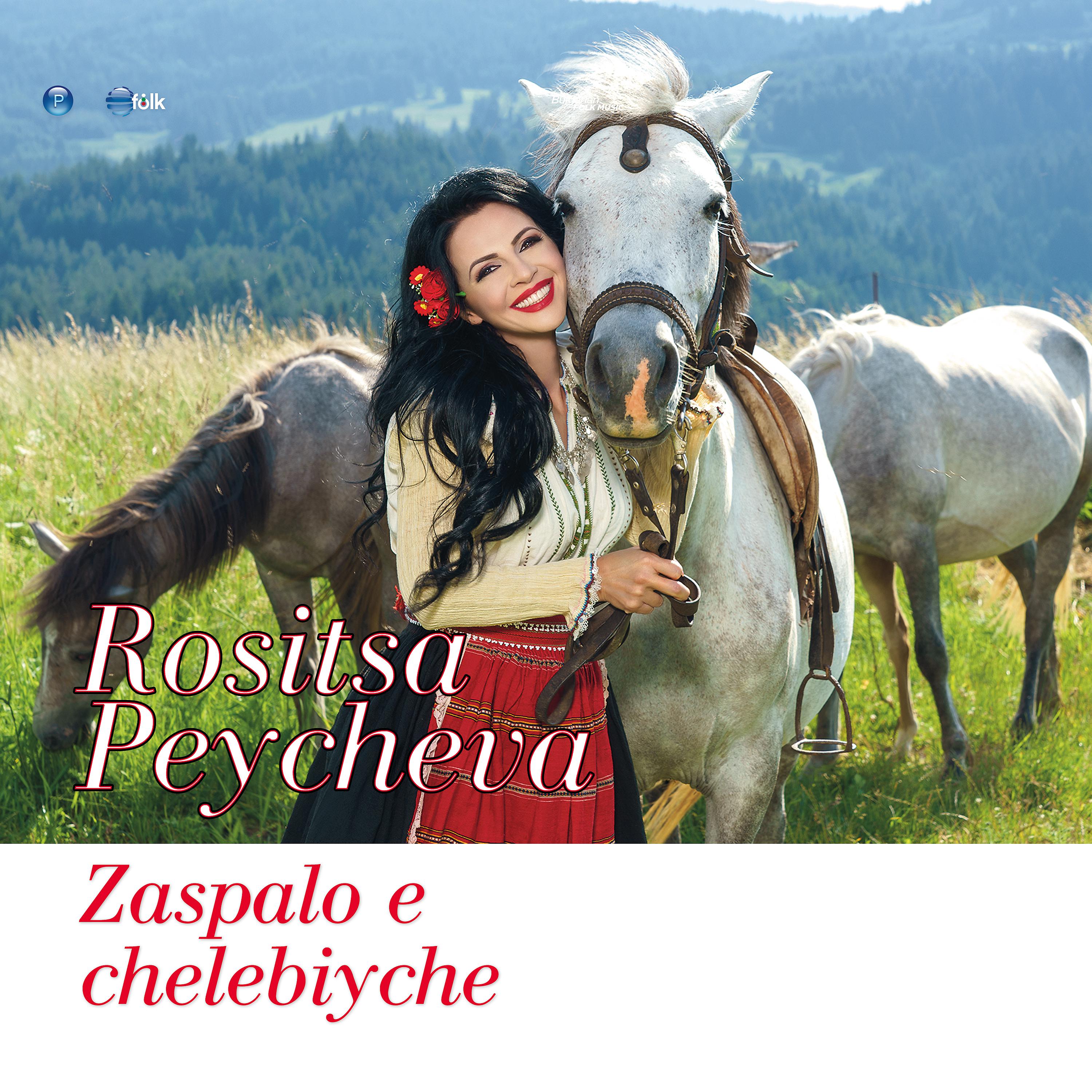 Постер альбома Zaspalo e chelebiyche