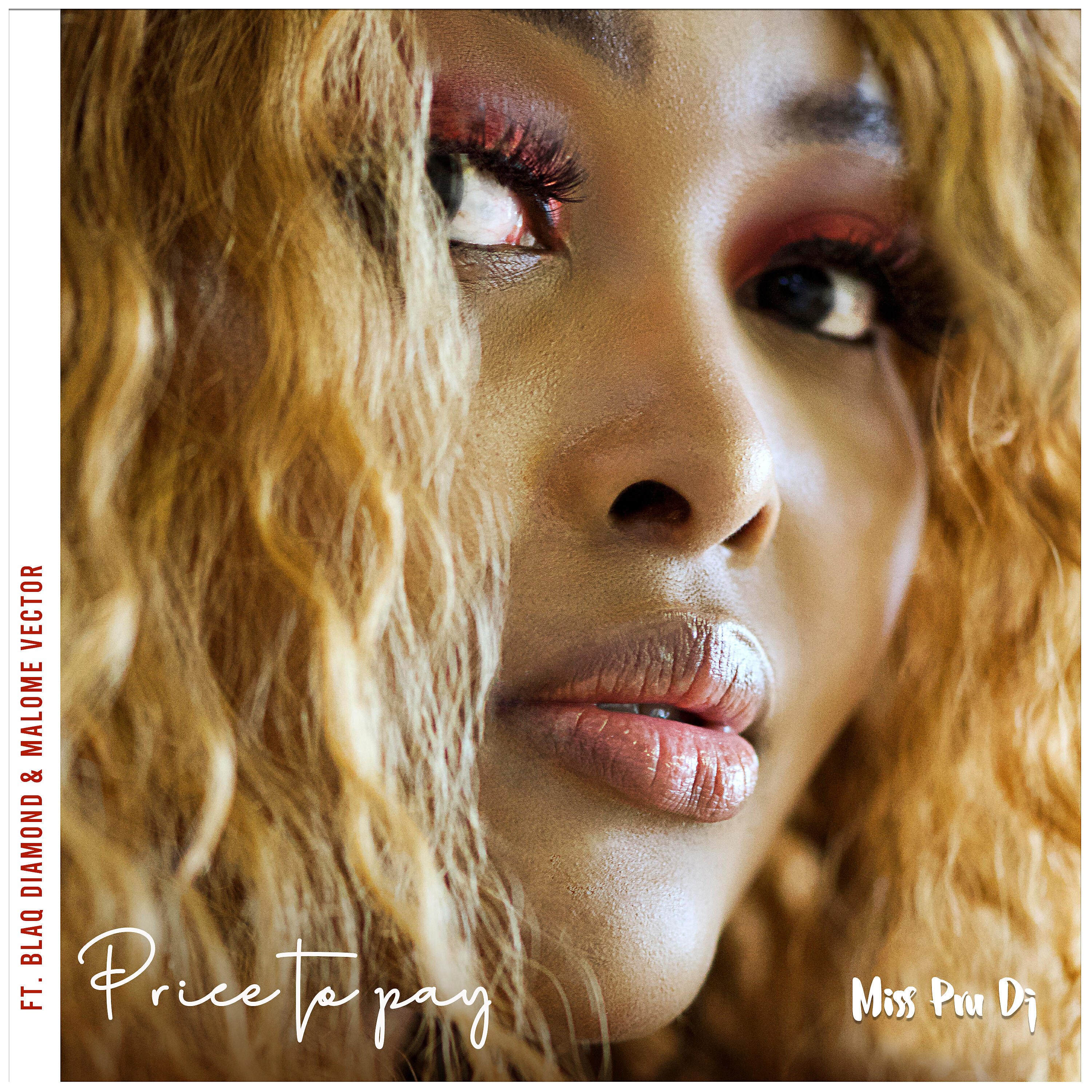 Miss Pru DJ - Price to Pay