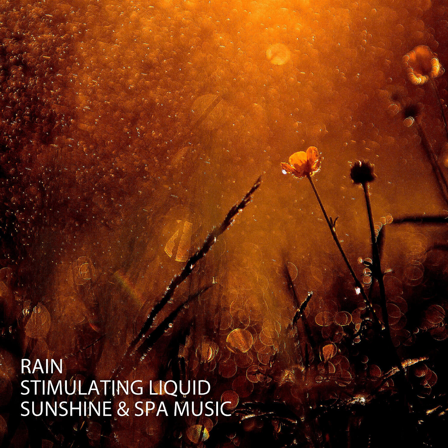 Exam Study Classical Music Orchestra - Sun Shower Music