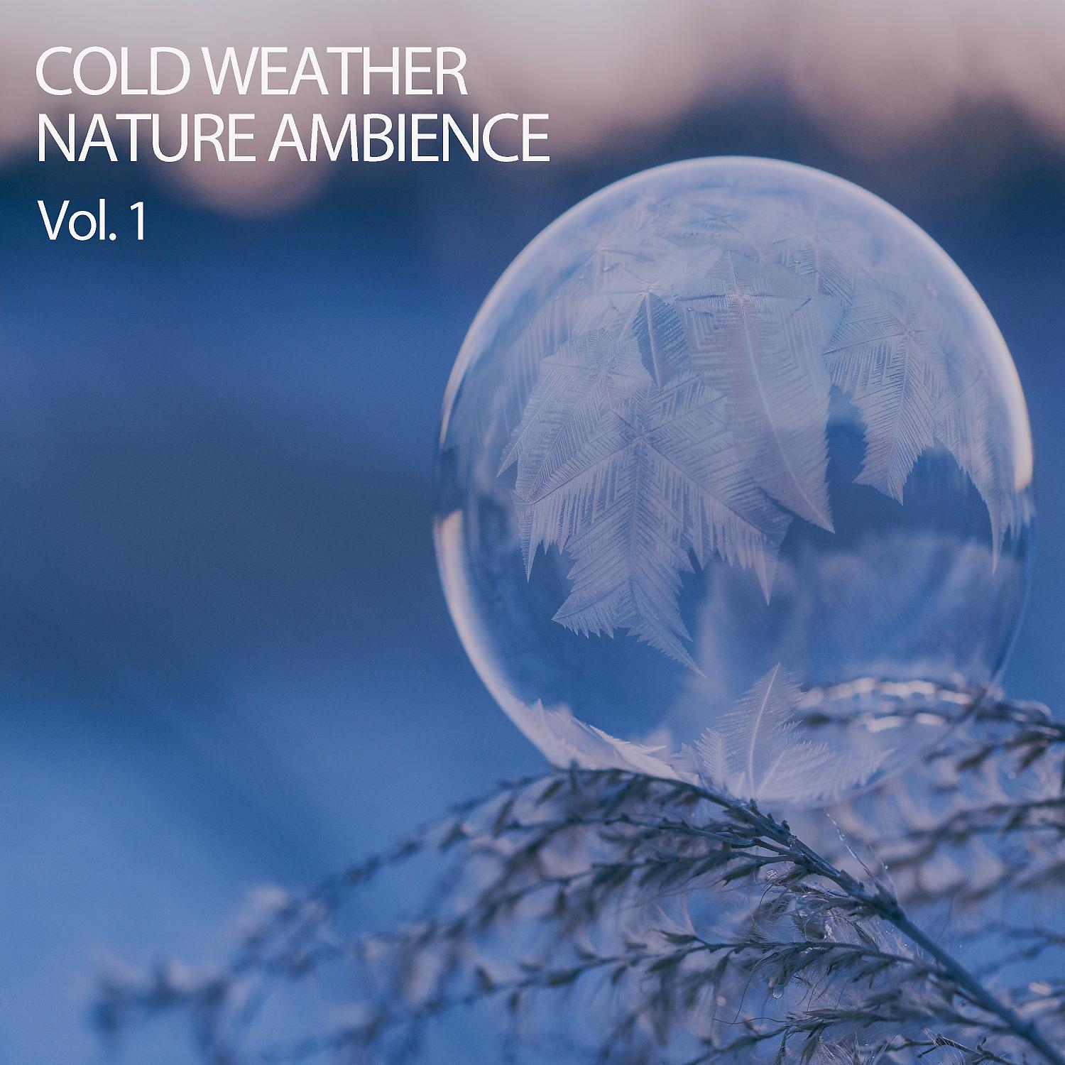 Постер альбома Cold Weather Nature Ambience Vol. 1