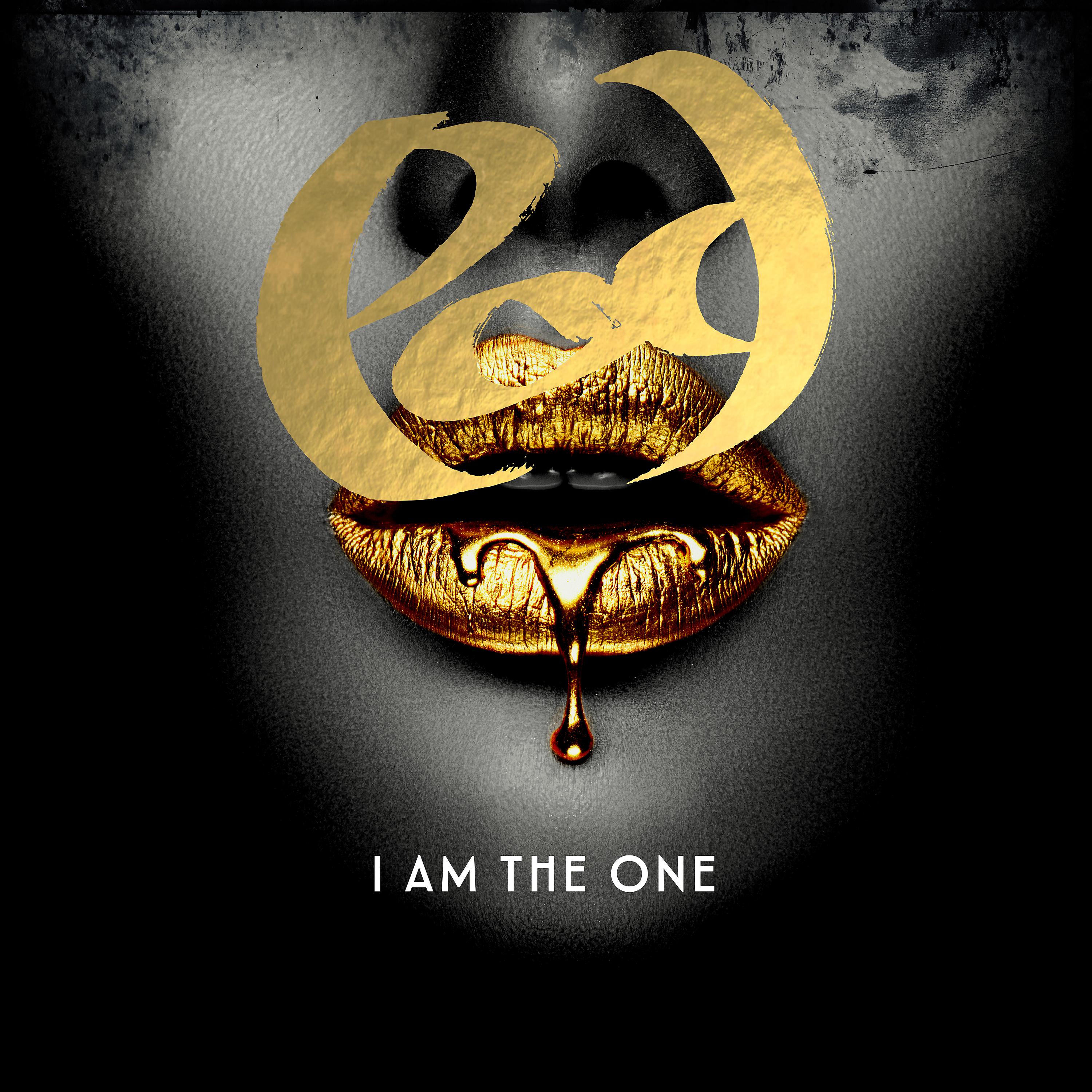 Постер альбома I Am the One