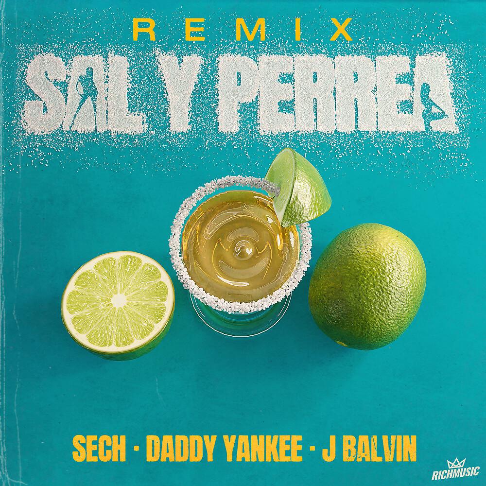 Постер альбома Sal y Perrea