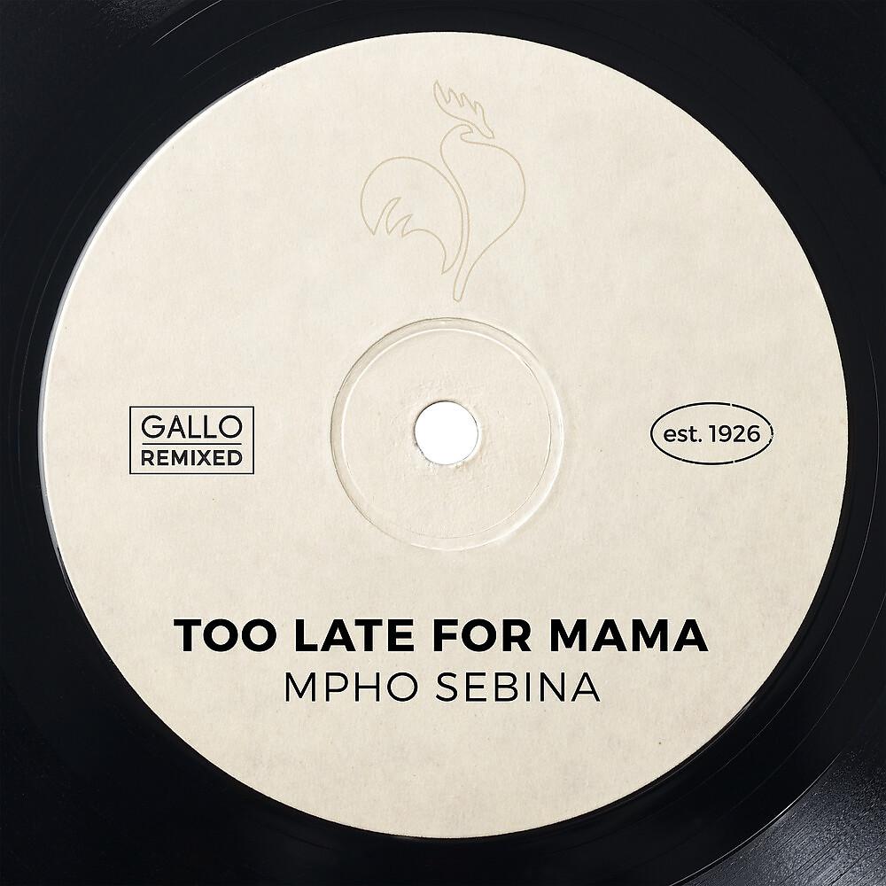 Постер альбома Too Late for Mama