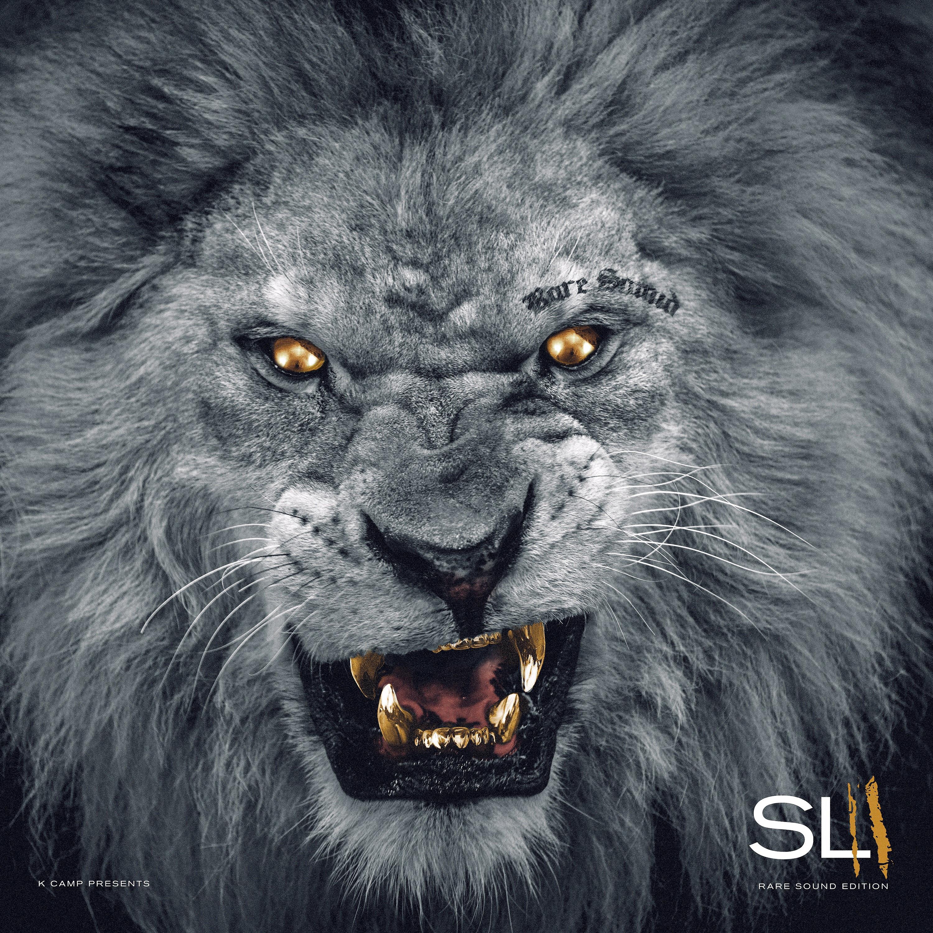 Постер альбома Slum Lords 2 (JPay Only)
