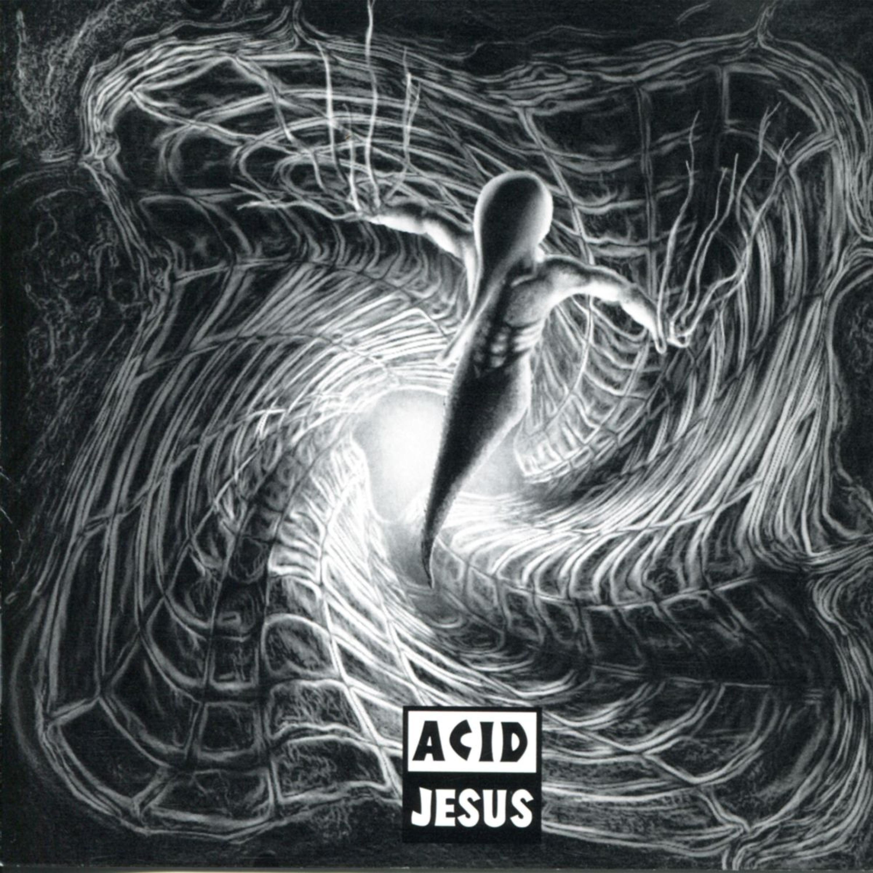 Постер альбома Acid Jesus
