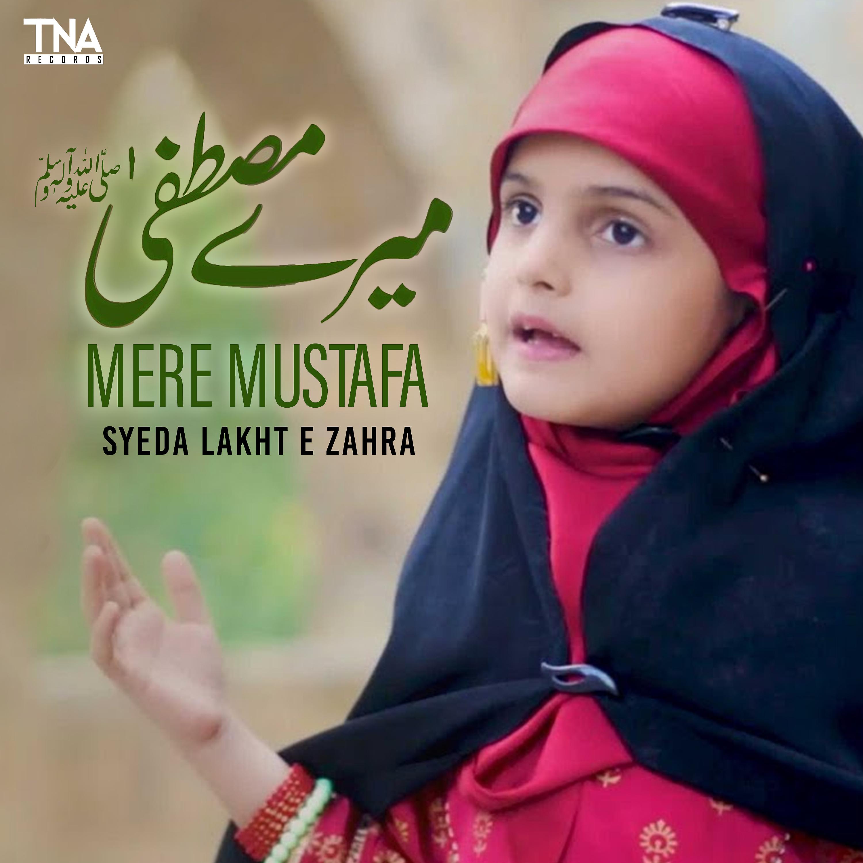 Постер альбома Mere Mustafa - Single