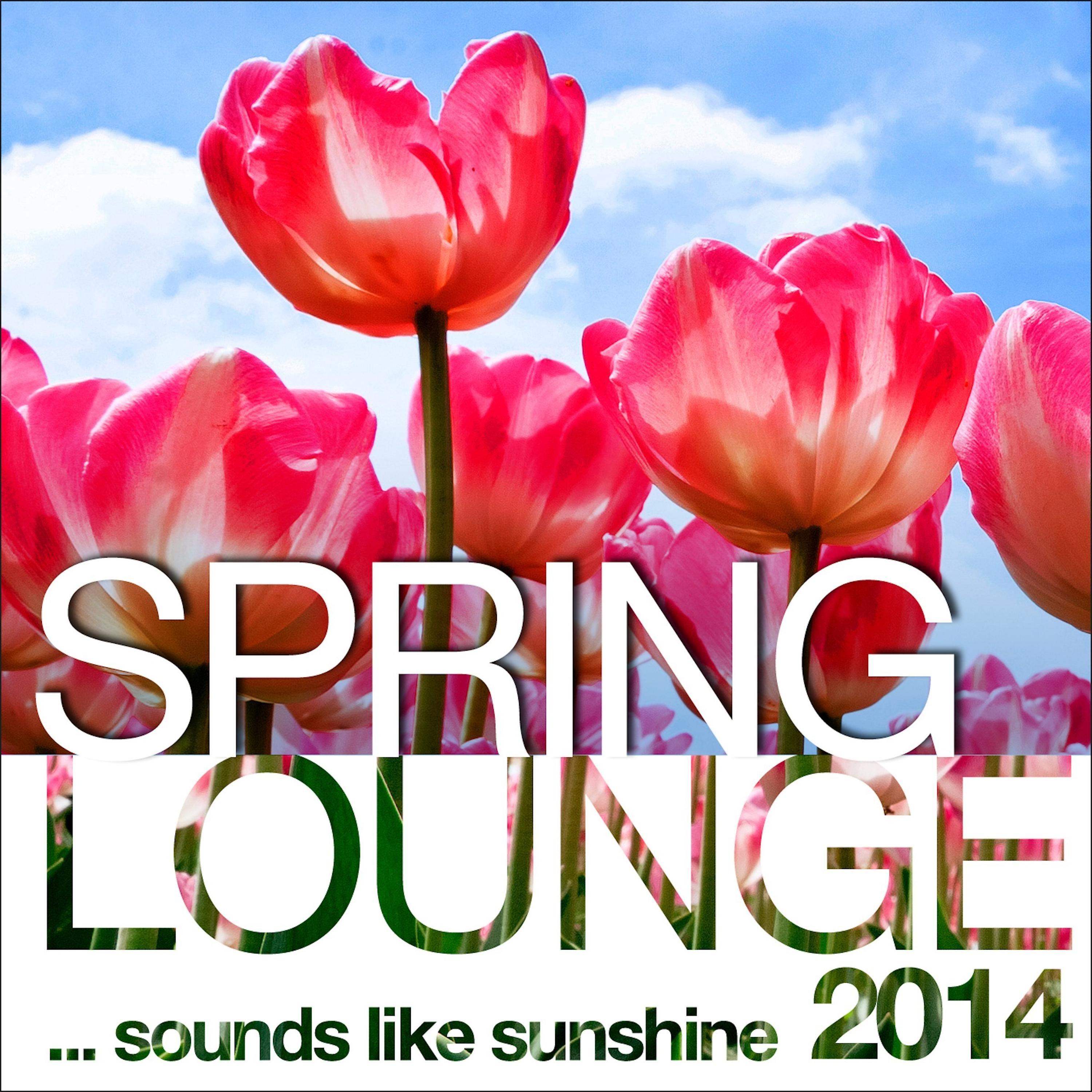 Постер альбома Spring Lounge 2014 (Sounds Like Sunshine)