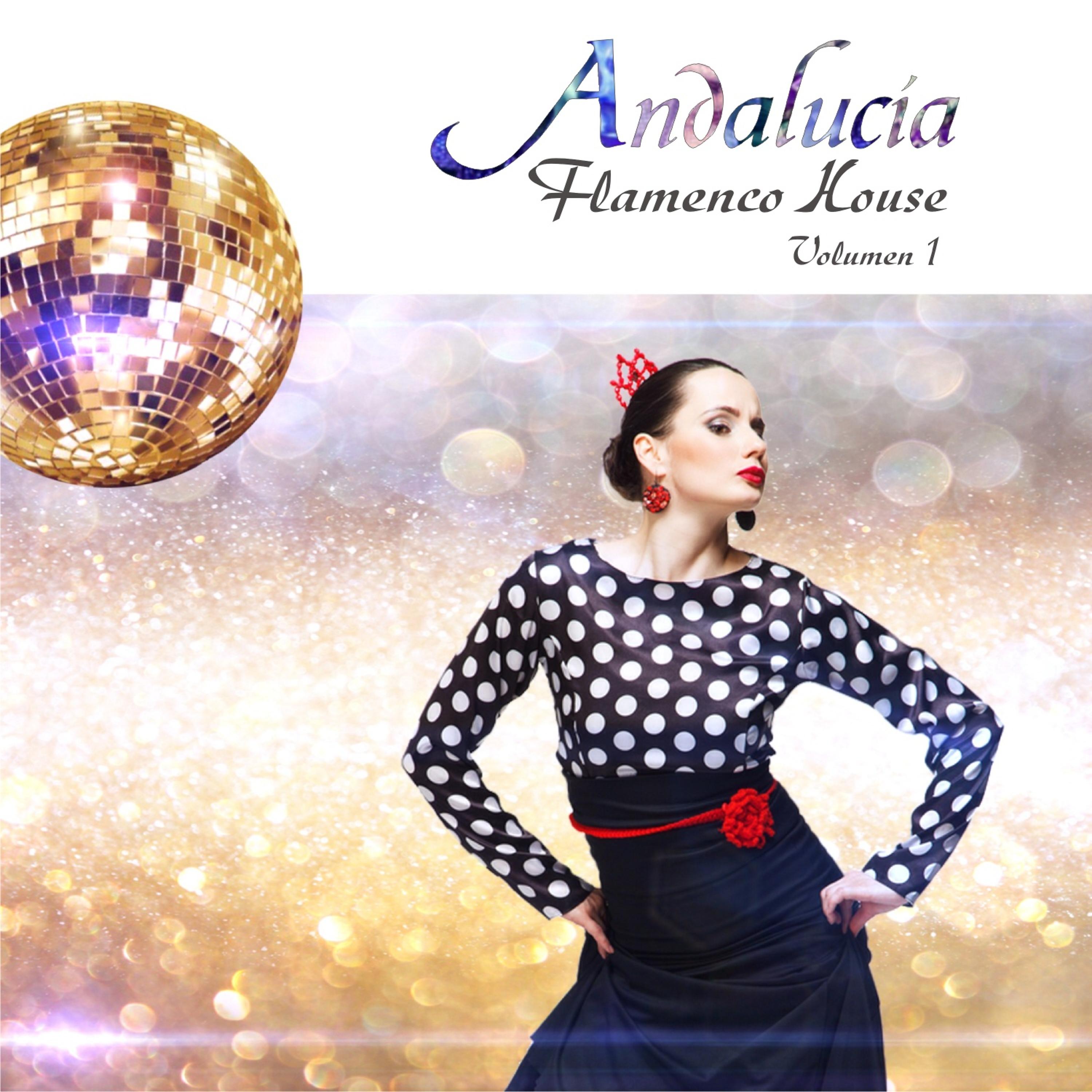 Постер альбома Andalucía Flamenco House, Vol. 1