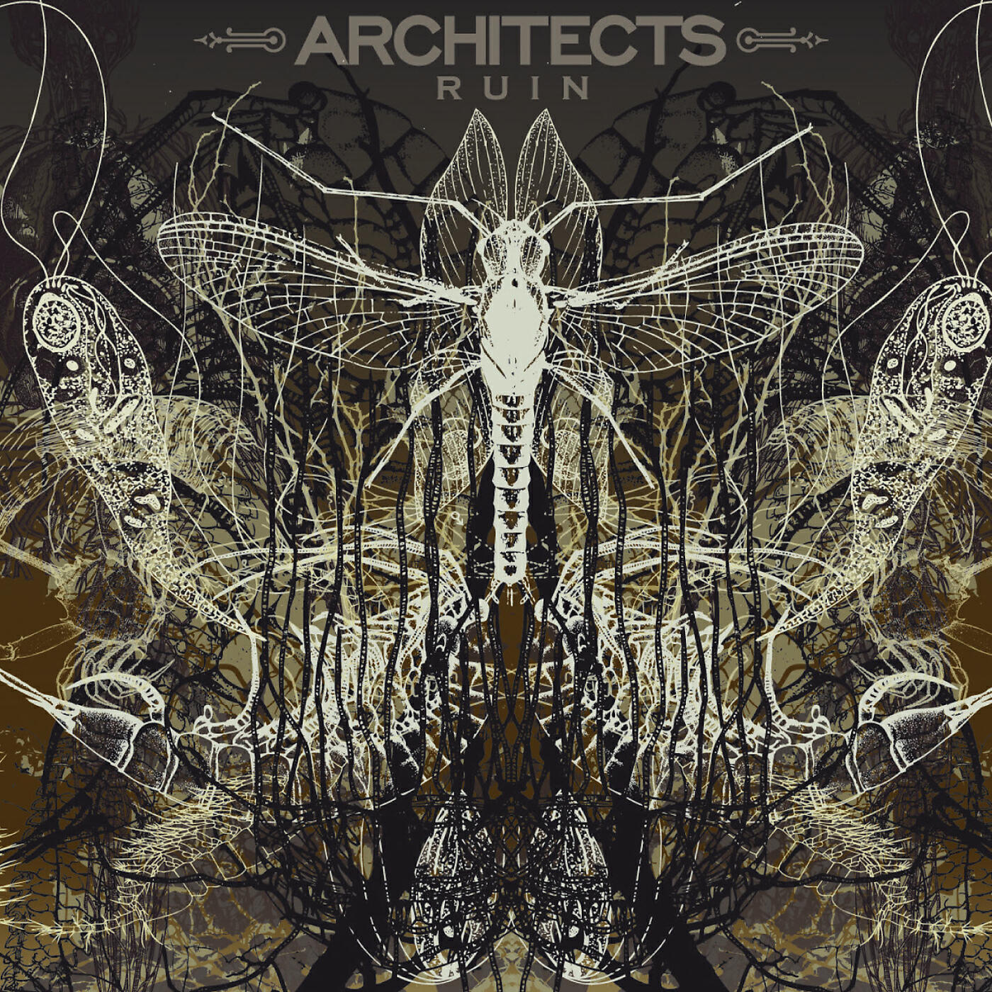 Architects - Heartless