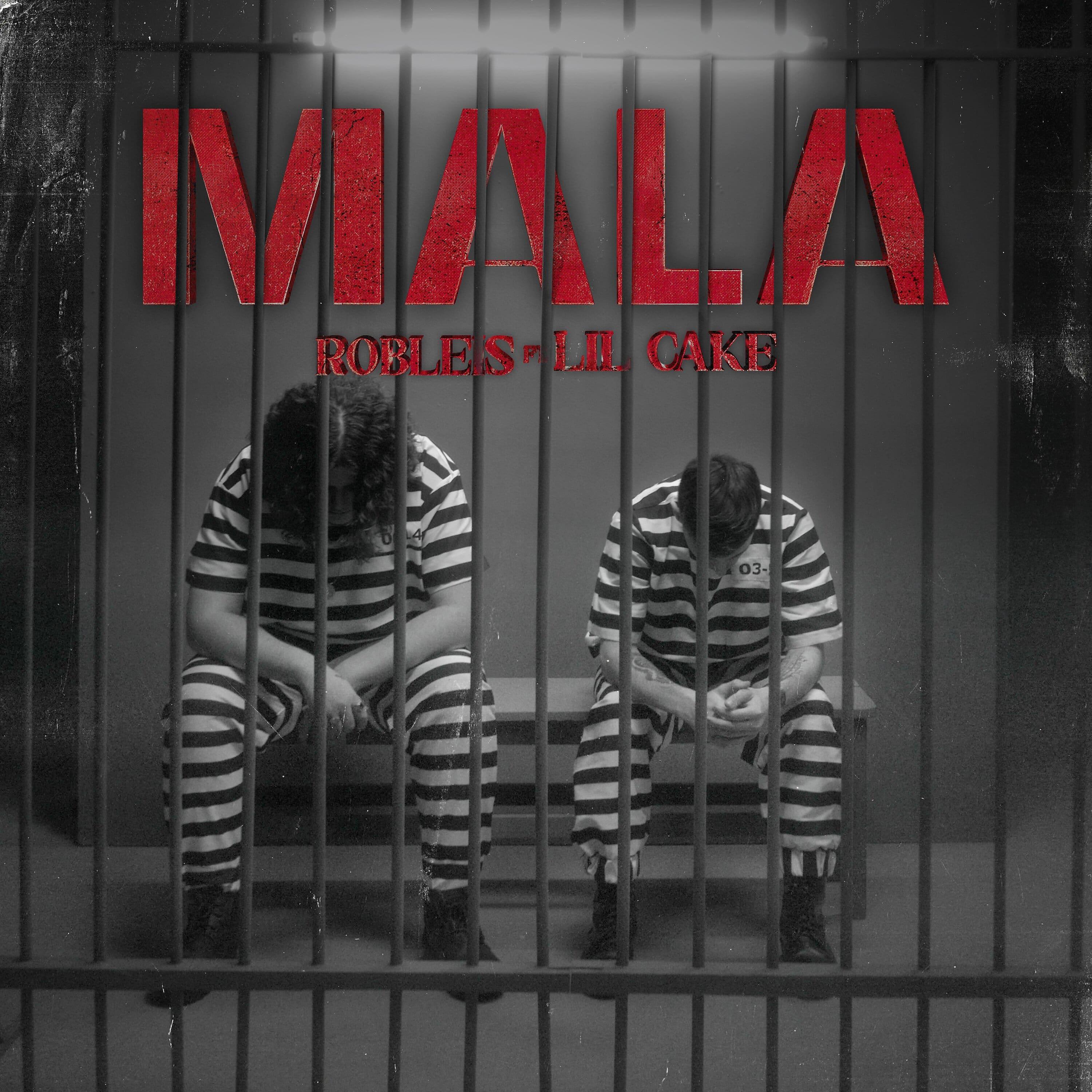 Постер альбома MALA