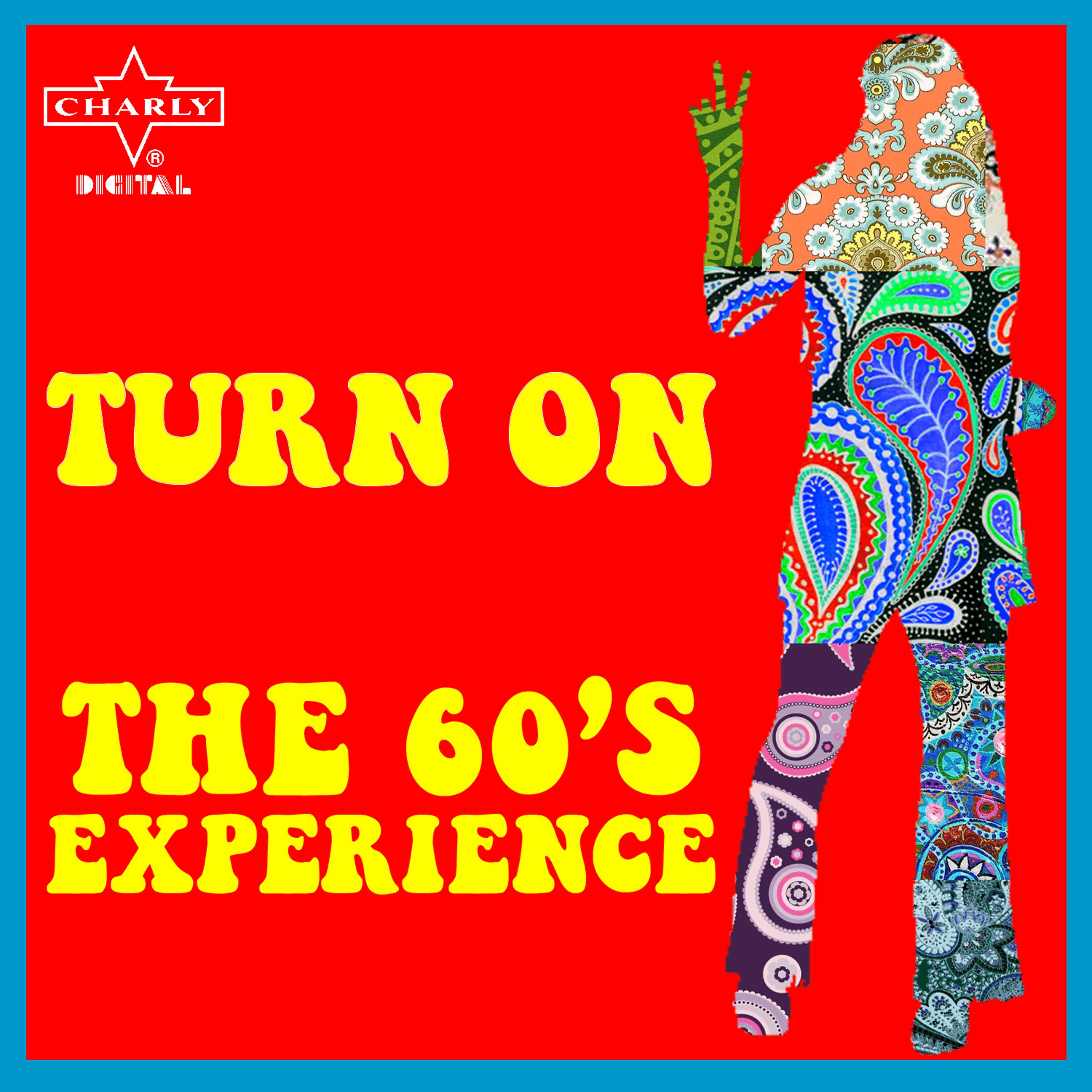 Постер альбома Turn On the 60's Experience