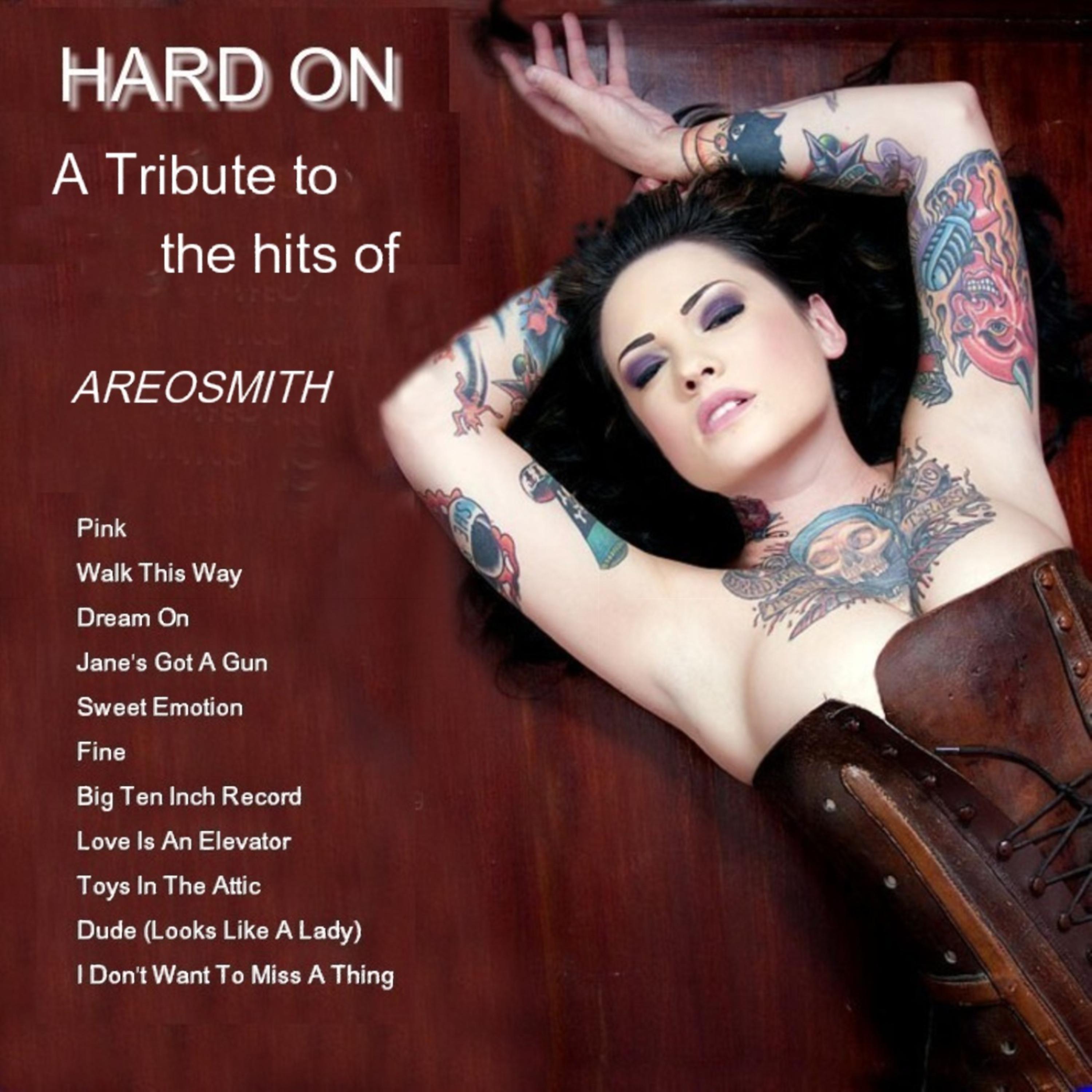 Постер альбома A Tribute To The Hits of Aerosmith