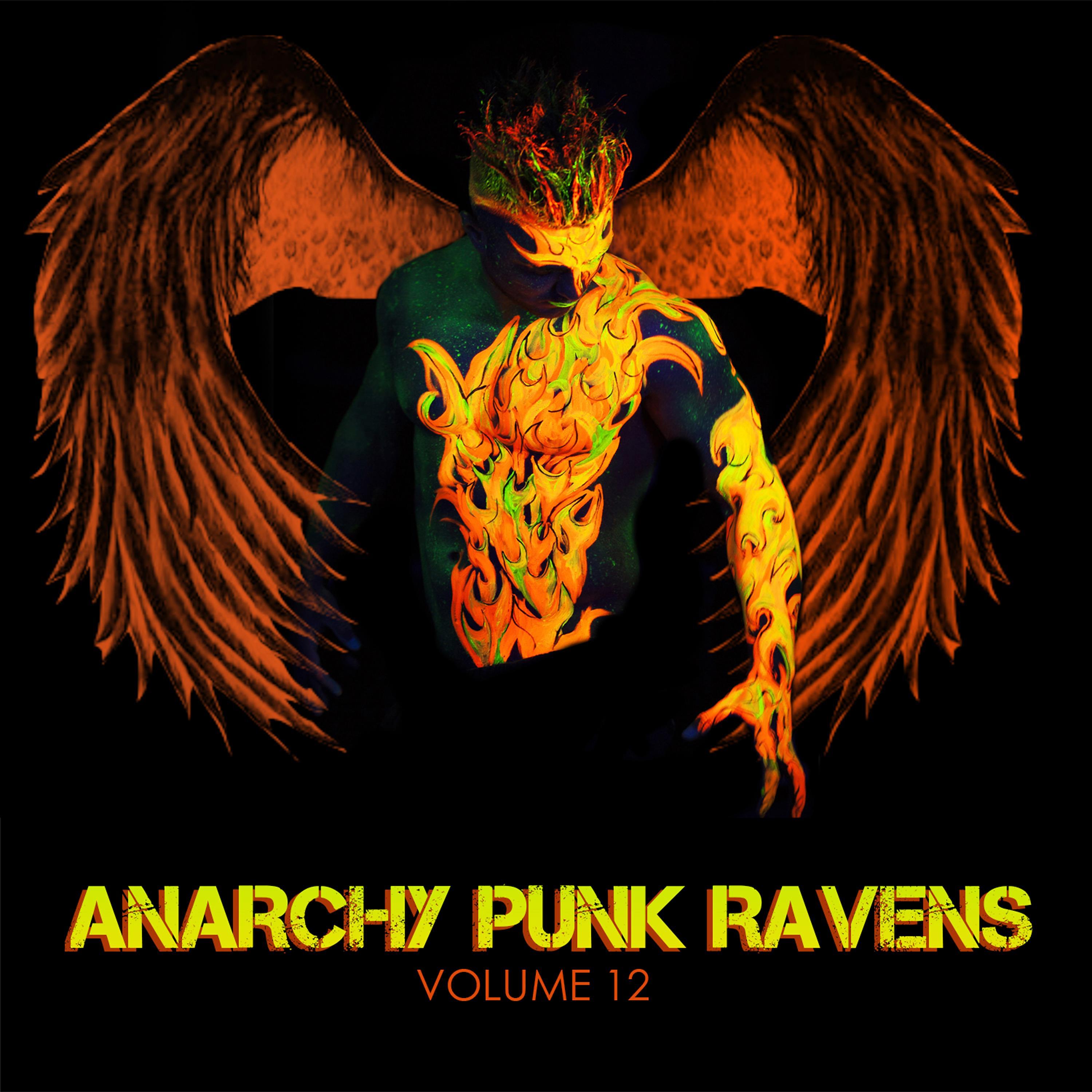 Постер альбома Anarchy Punk Ravens, Vol. 12